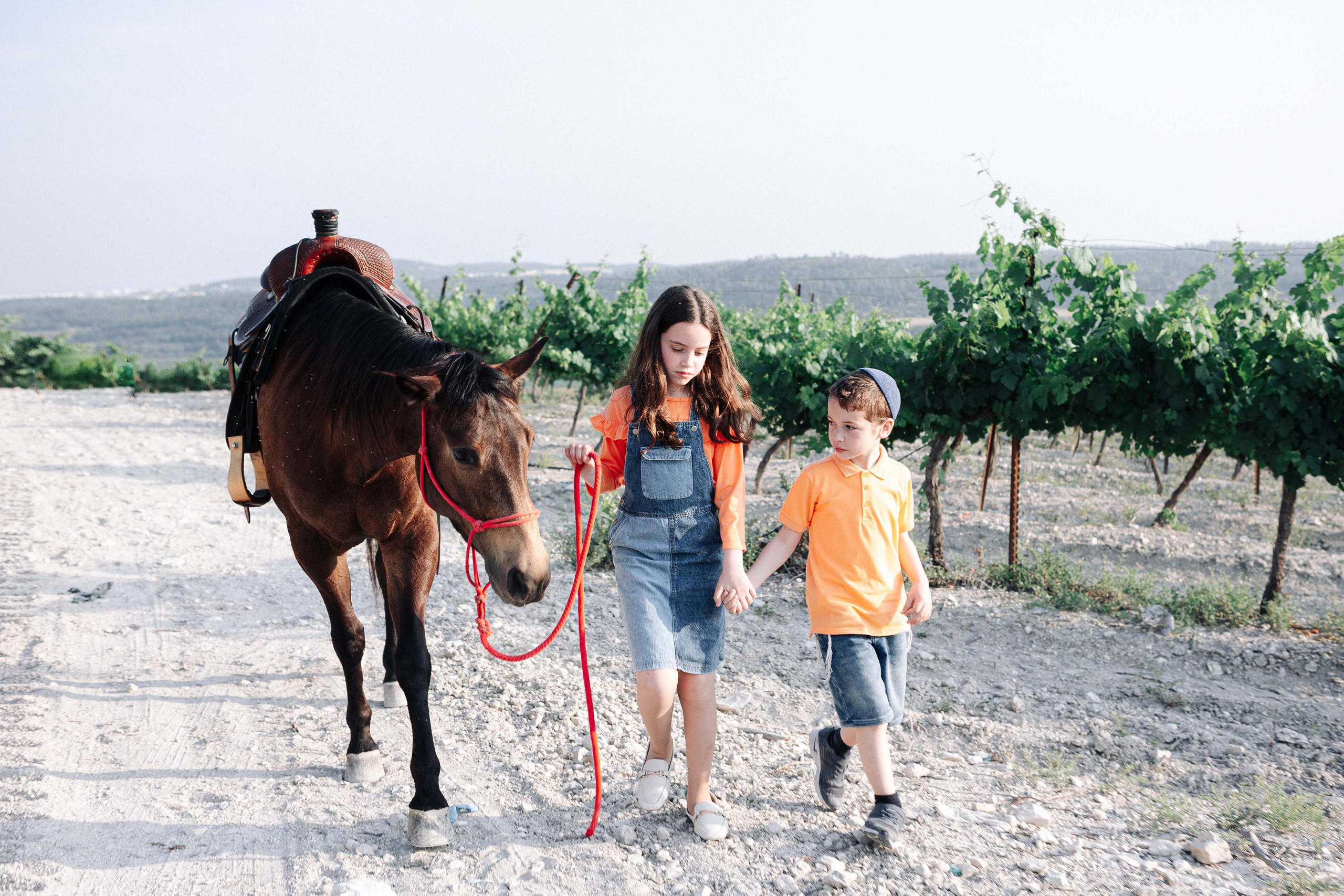 BAT MITZVAH IN THE VINEYARDS. Https://shi-photo.com/