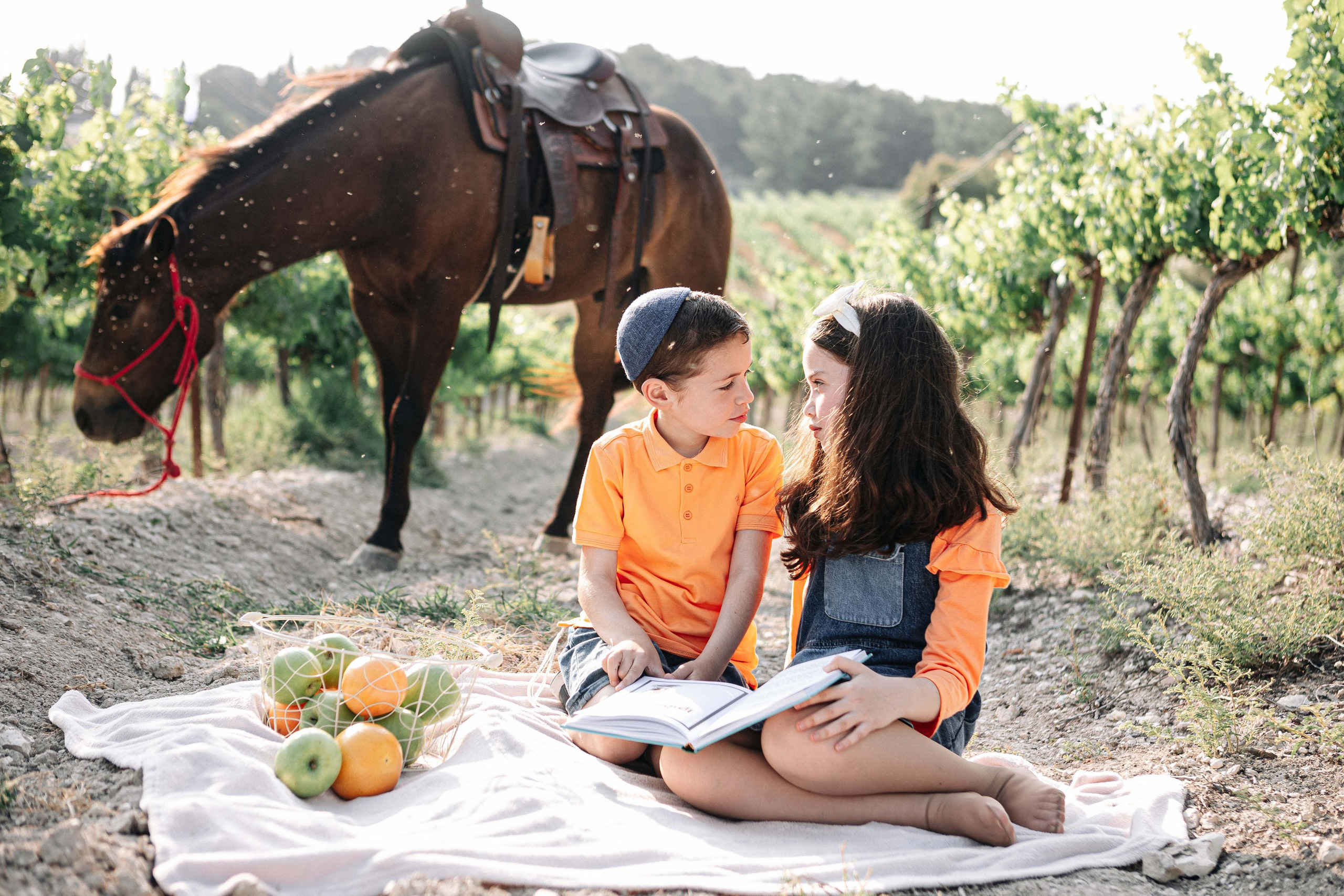 BAT MITZVAH IN THE VINEYARDS. Https://shi-photo.com/