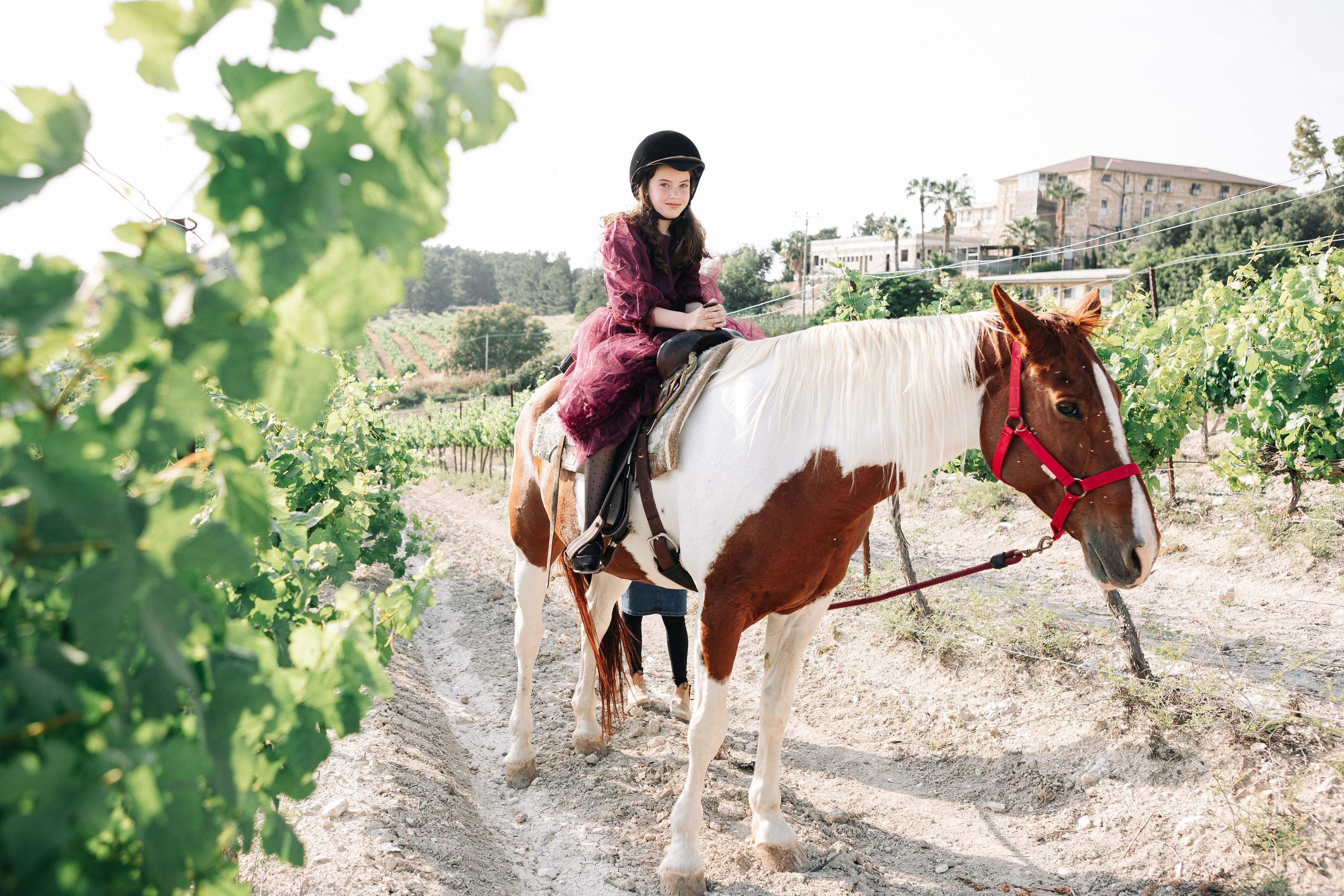 BAT MITZVAH IN THE VINEYARDS. Https://shi-photo.com/