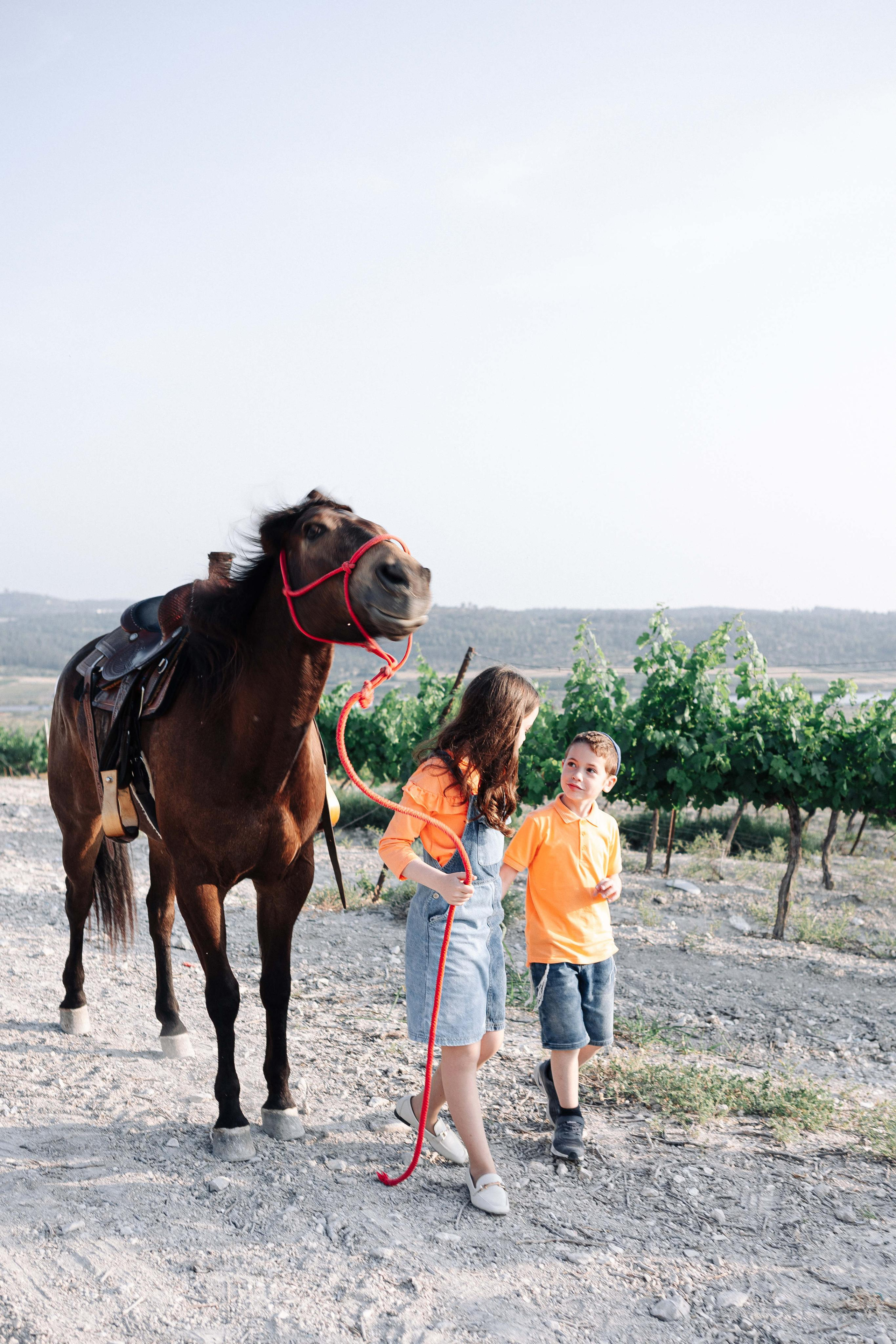 BAT MITZVAH IN THE VINEYARDS. Https://shi-photo.com/