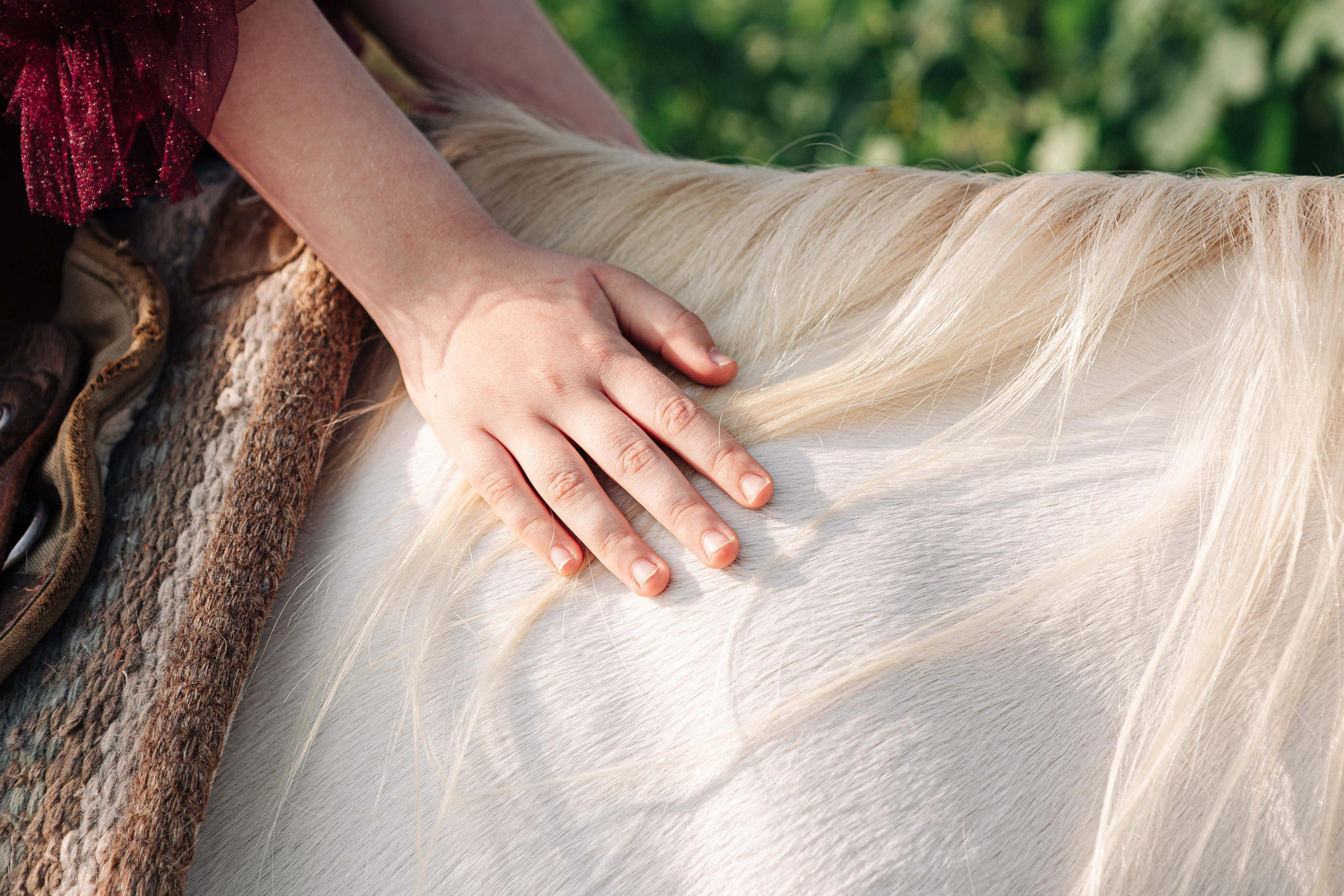 BAT MITZVAH IN THE VINEYARDS. Https://shi-photo.com/
