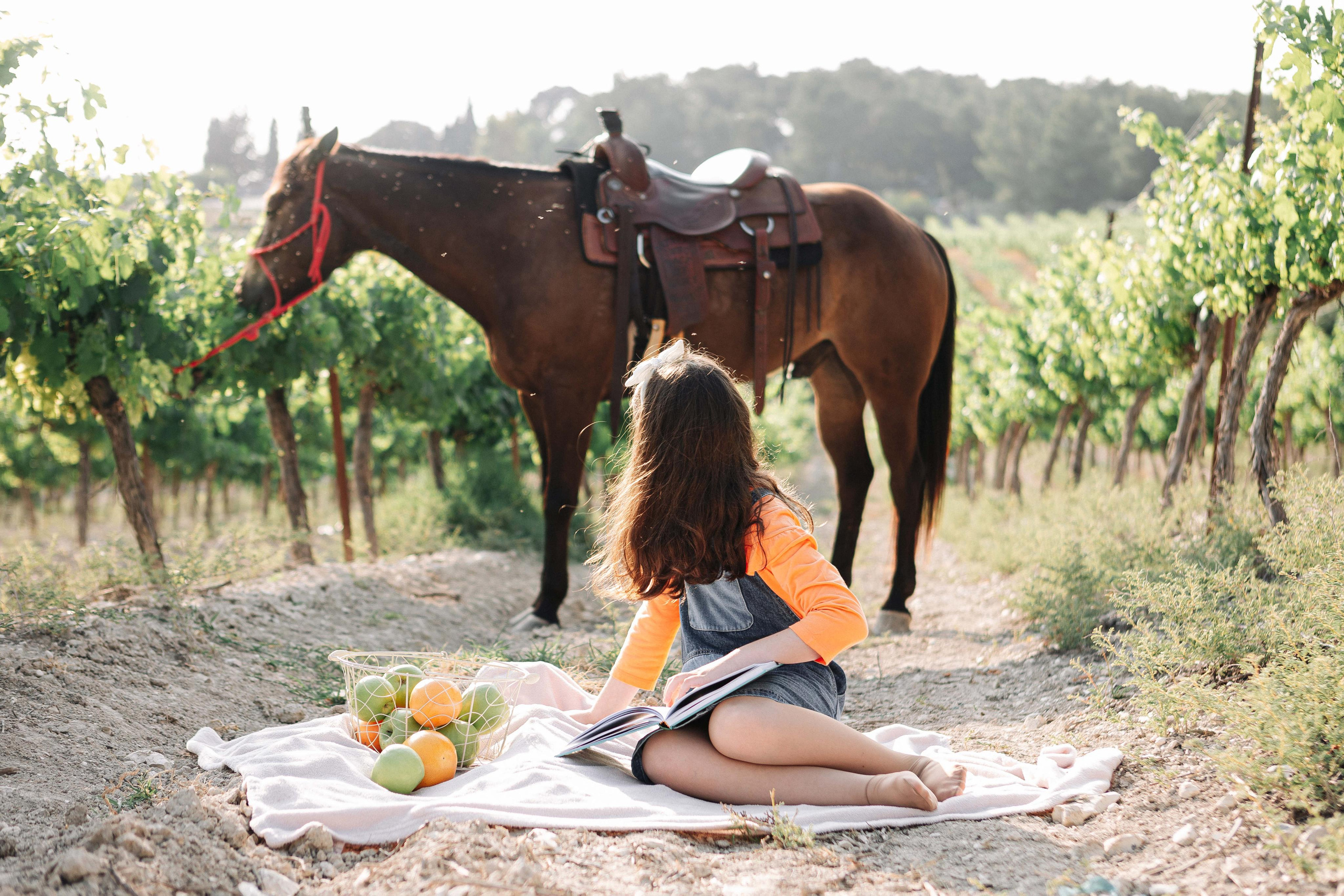 BAT MITZVAH IN THE VINEYARDS. Https://shi-photo.com/