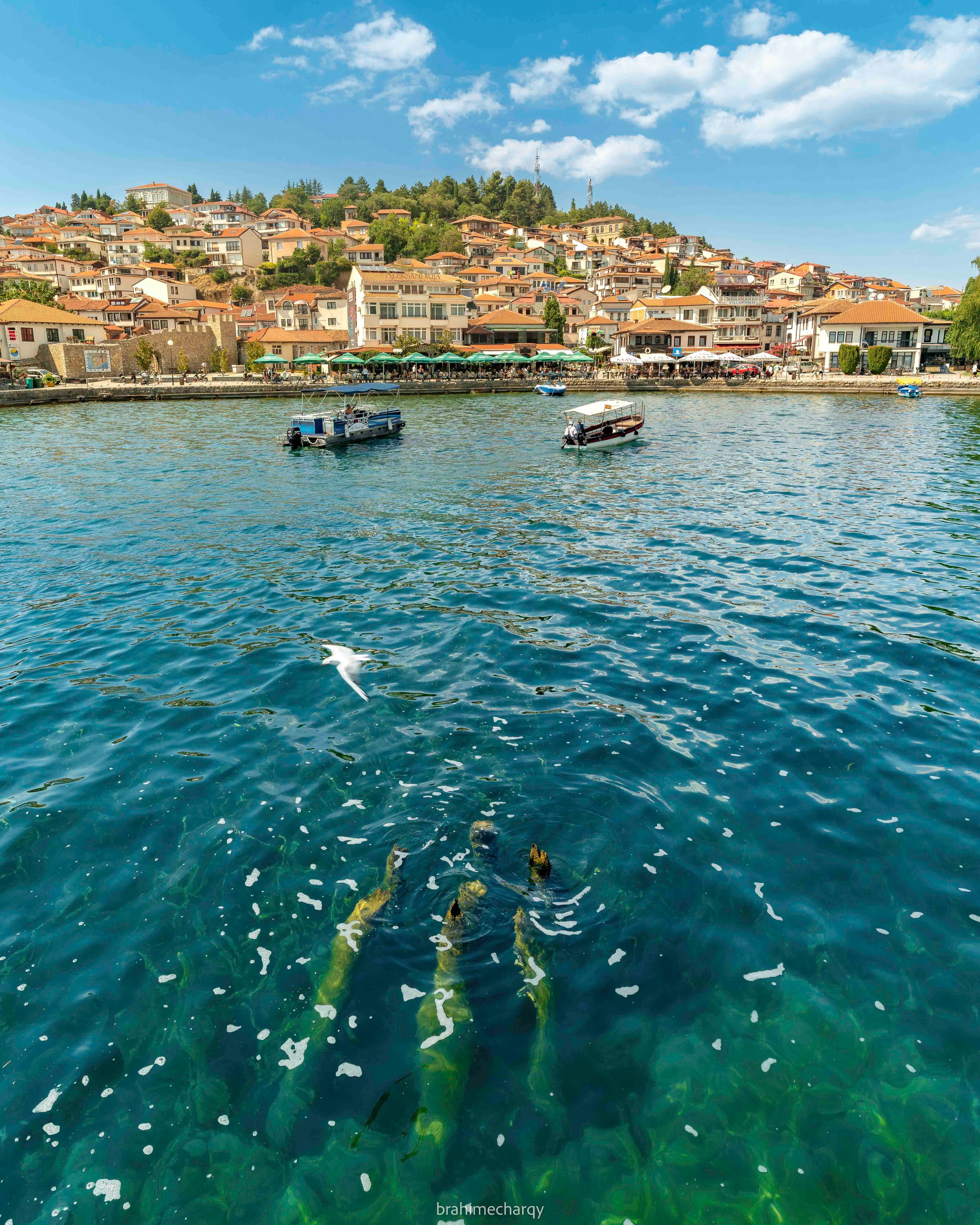 Фото. Брахим — фотограф
