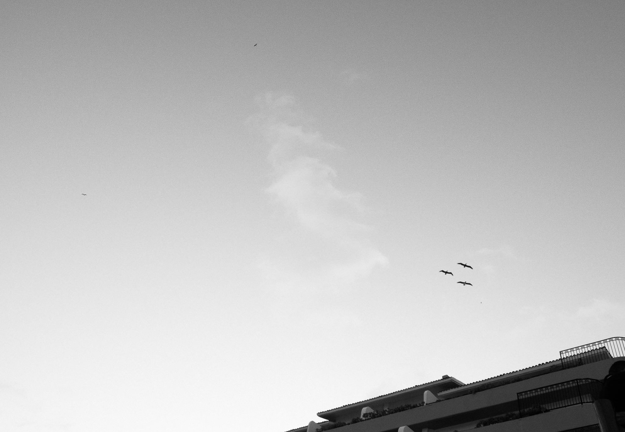 Jess & Juan / Cancun. Wedding and family photographer in Mexico City