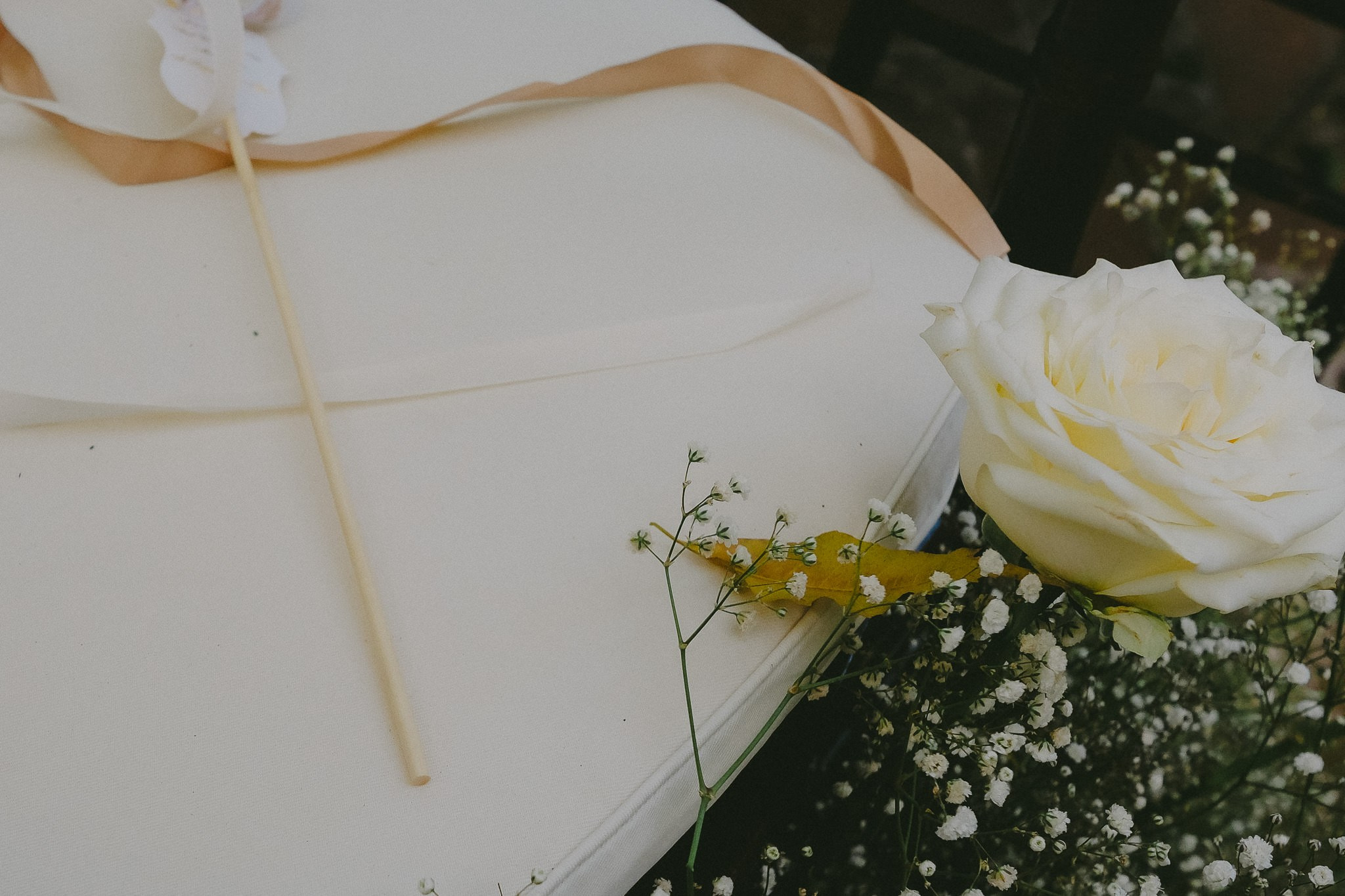 Isavira & Andrew. Wedding and family photographer in Mexico City