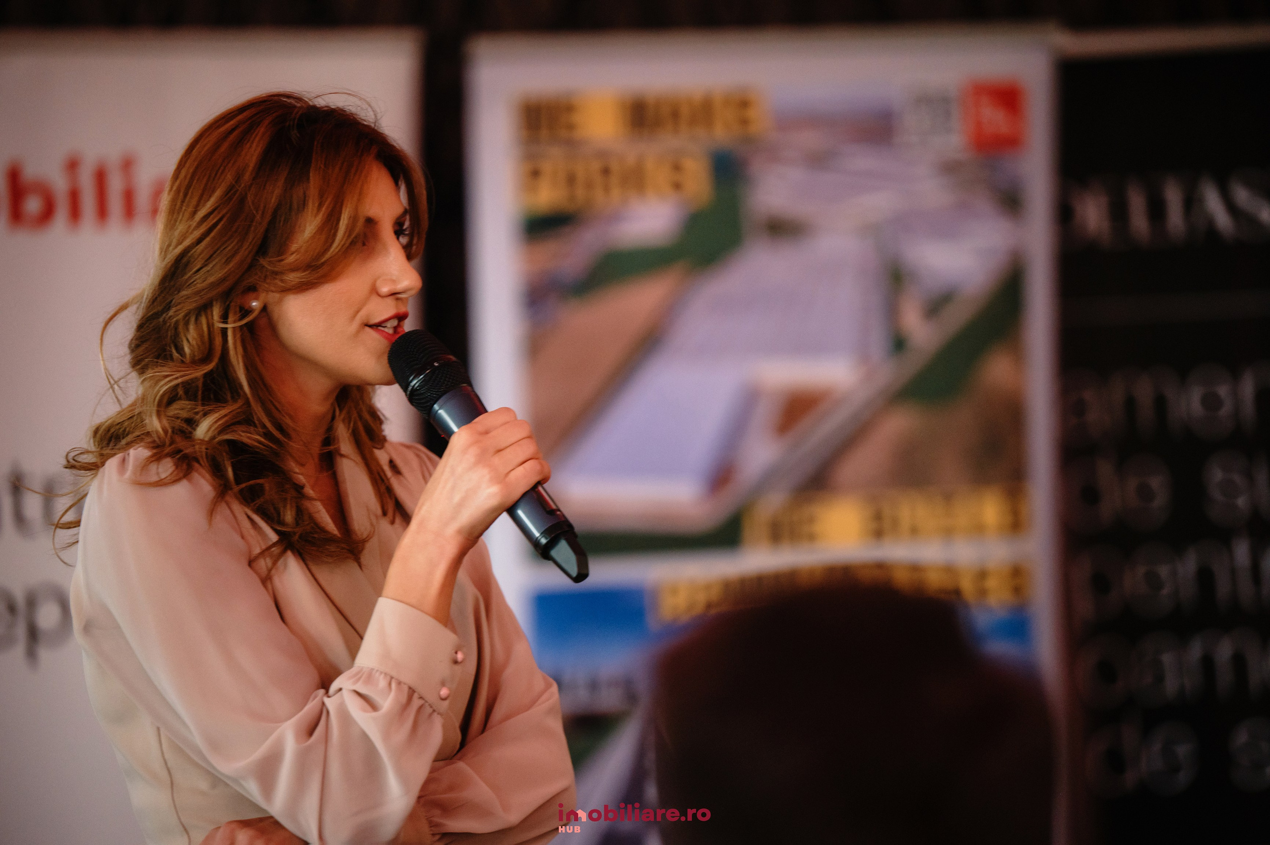 Imobiliare HUB 2025. Laurentiu Stefan StoryTeller