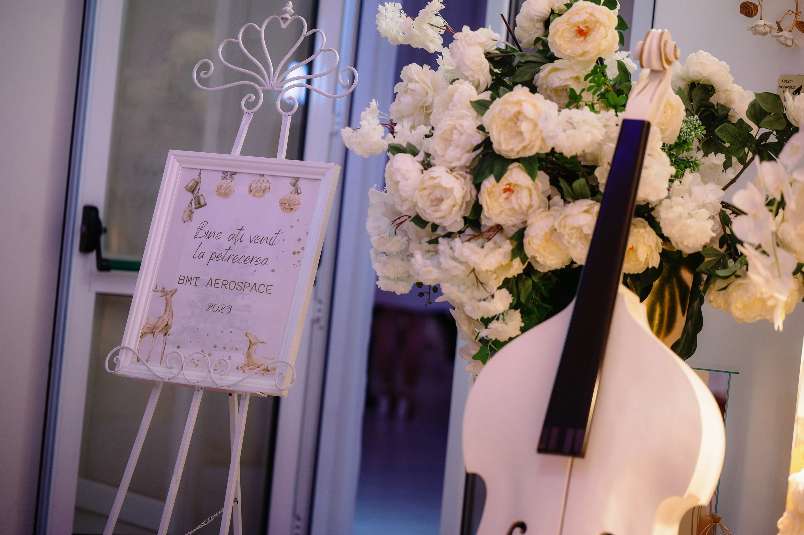 BMT Aerospace Party. Laurentiu Stefan StoryTeller