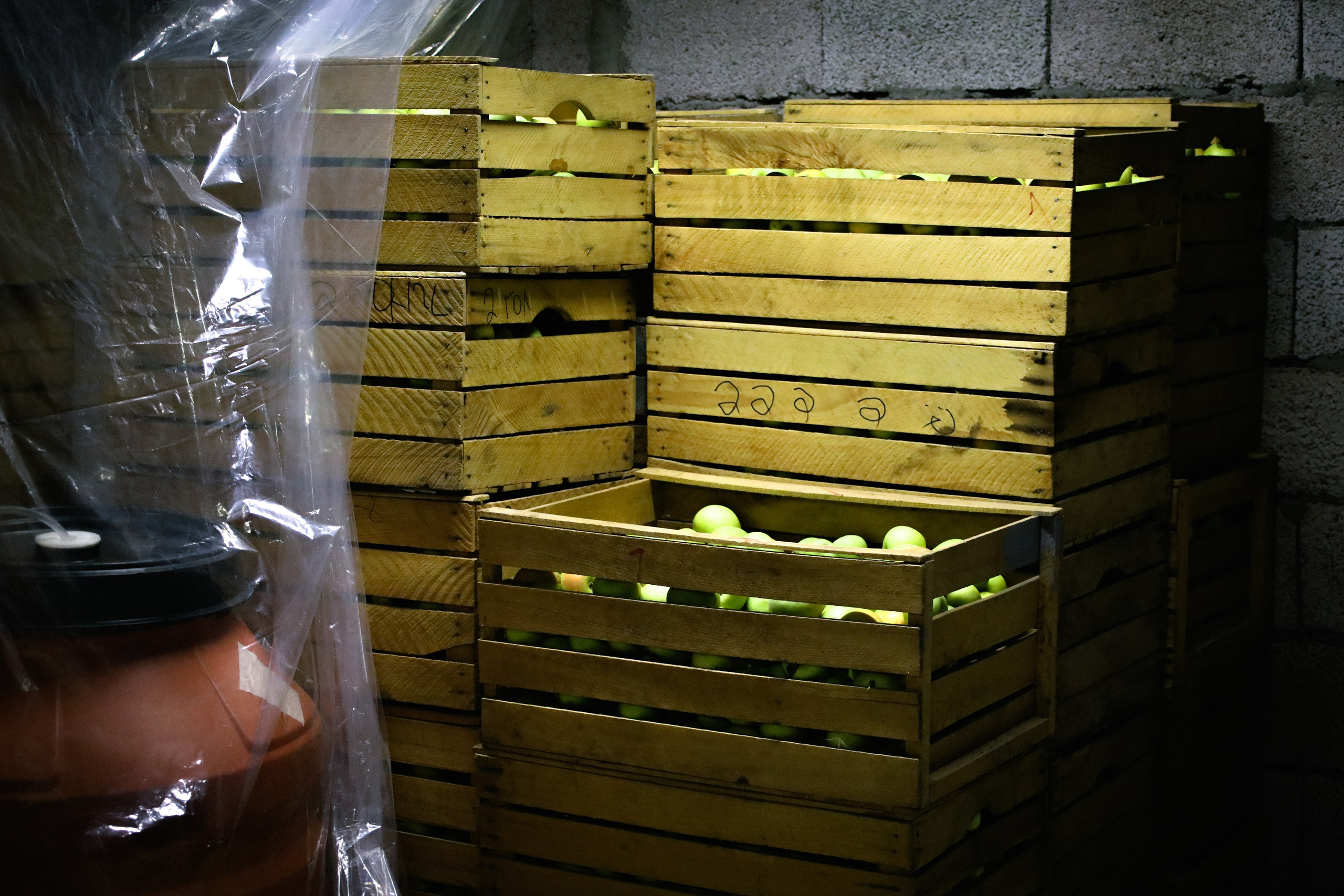 Factory reportage (hand-crafted cider). Asmikiam