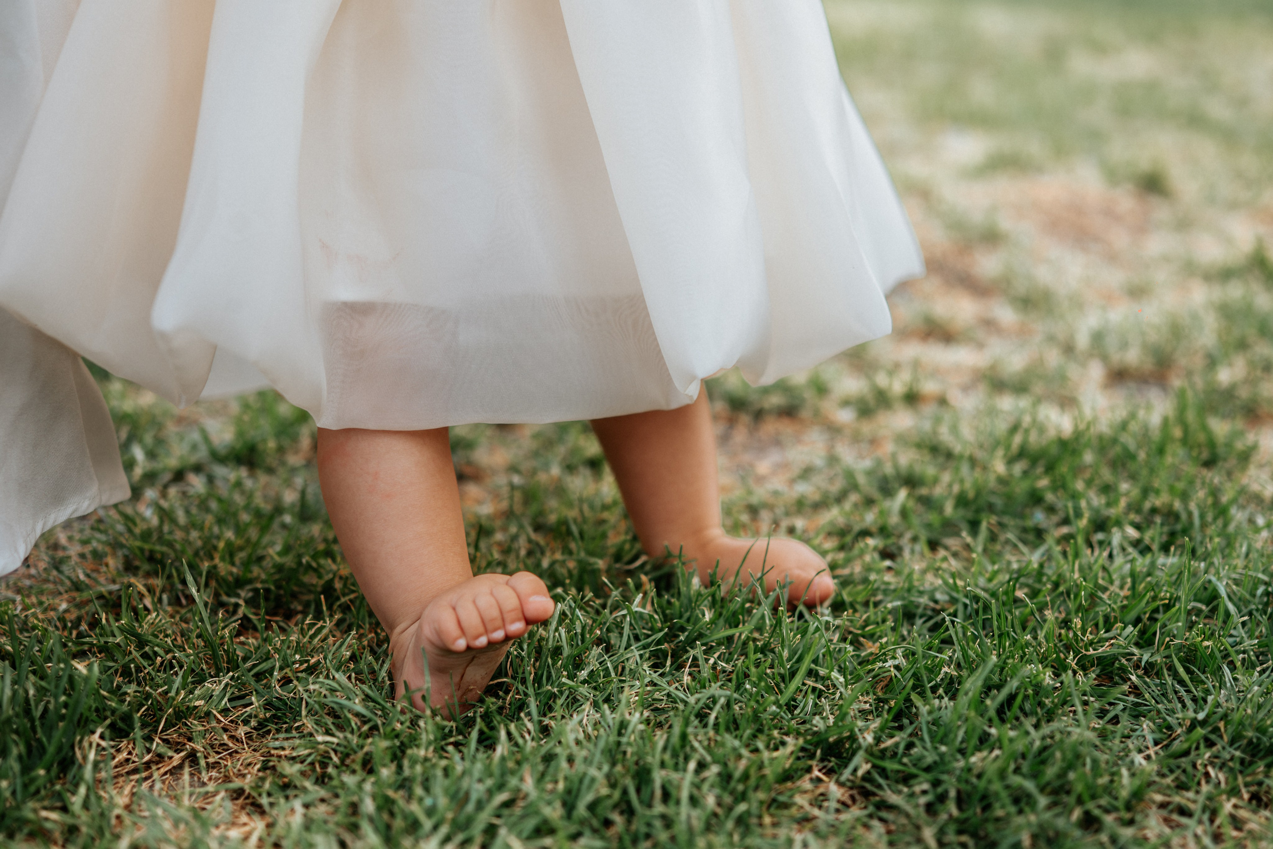 Sofia - 1. rođendan. Dečiji i porodični fotograf