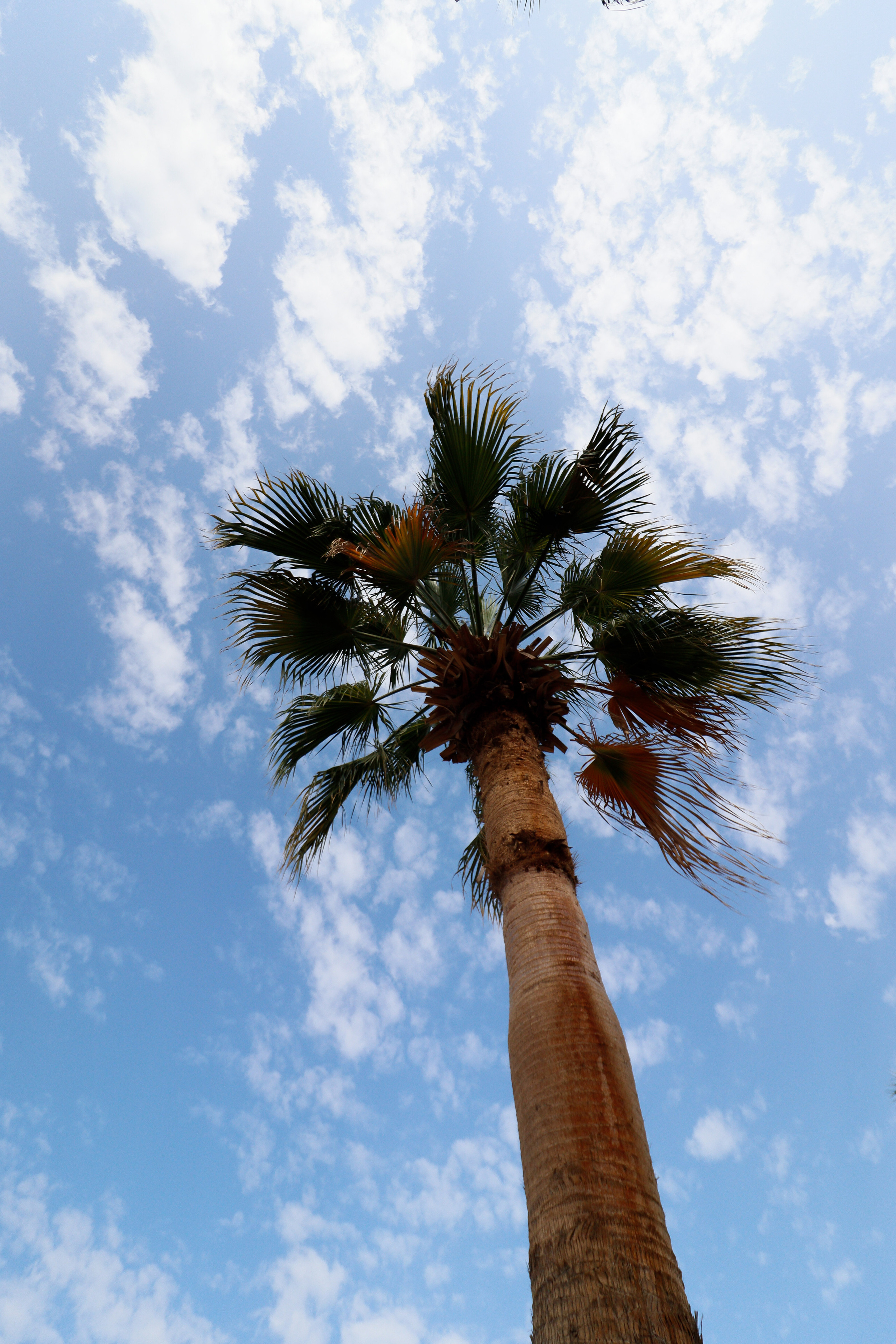 CONTENT CREATION. Anastasia Krylova | Photographer in Budapest