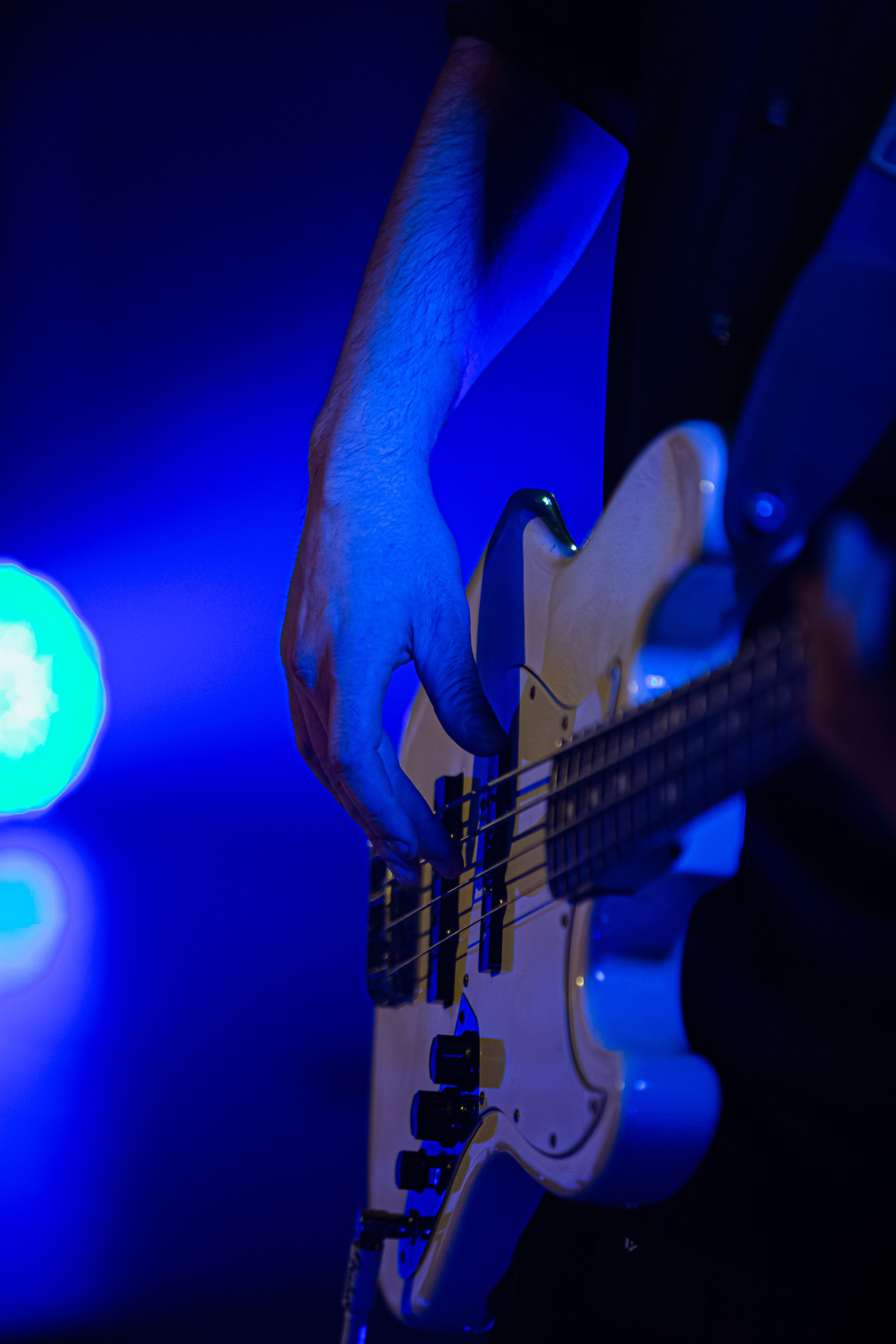 Ptashkin. Репортажний фотограф/анімаліст КИЇВ