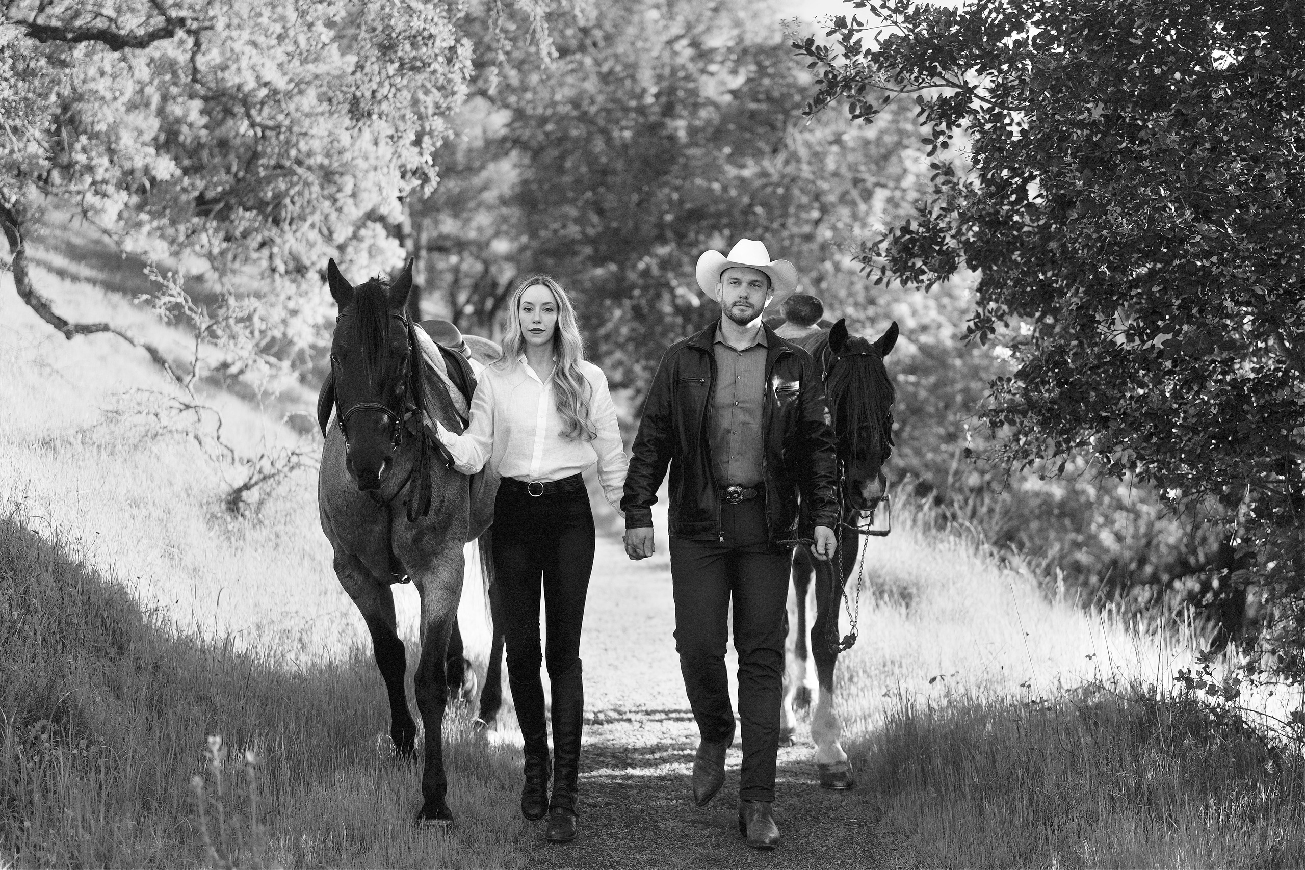 Engagement with Horses, Napa, Northern California. Wedding Photography & Videography Team in California, Los Angeles, San Francisco, San Diego and Travel