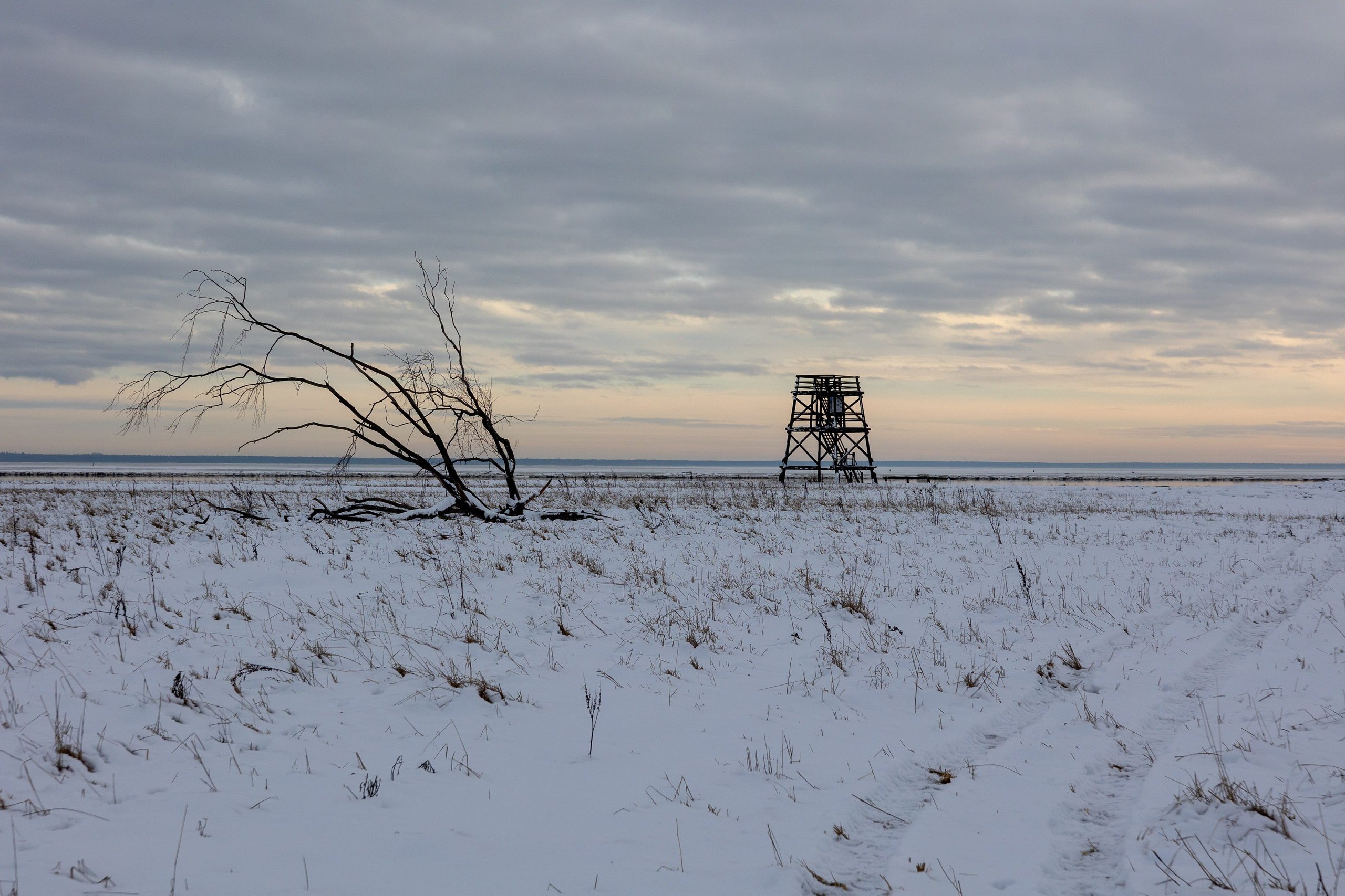 Dažādas fotogrāfijas. Sajūtu un mirkļu fotogrāfs no Rīgas, Mārtiņš Babris