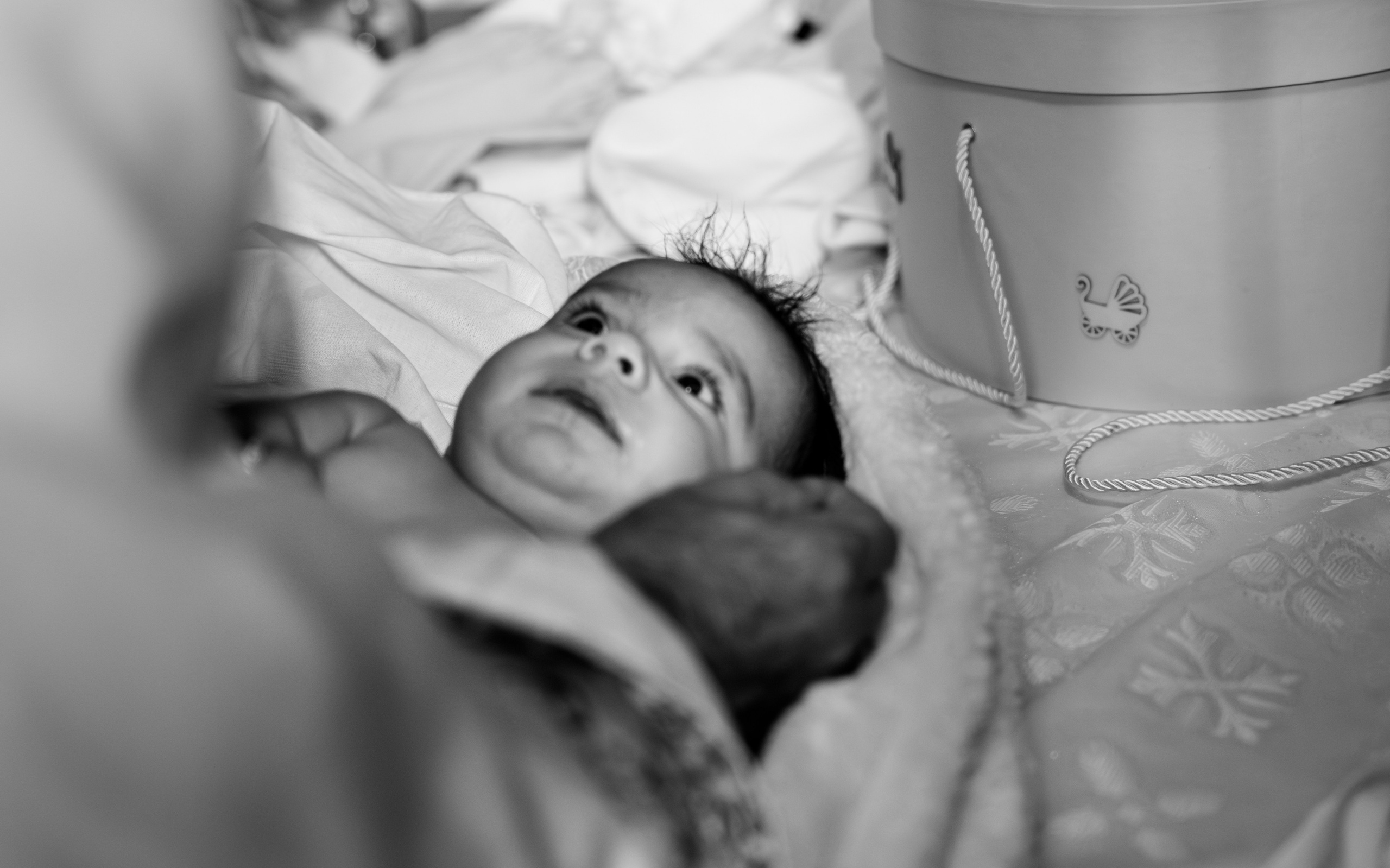 Fabio Gabriel. Foto Studio — Fotograf de evenimente, nunti, botezuri, portrete