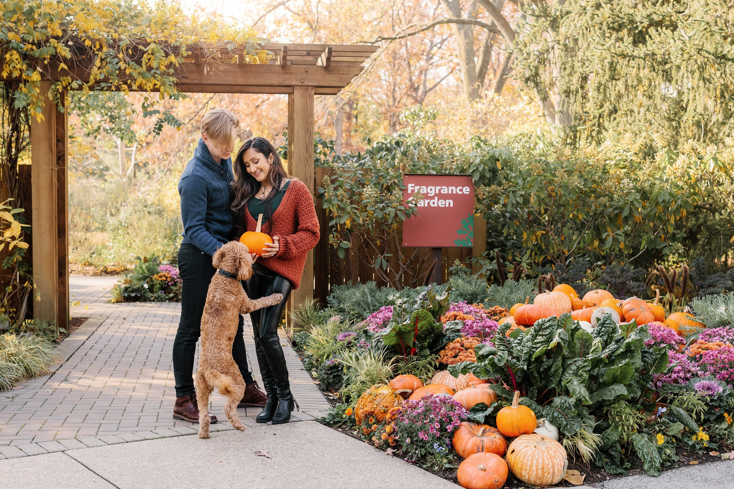 11.02.2024 Love Story. Wedding family event photographer in Chicago Nick Yushevich