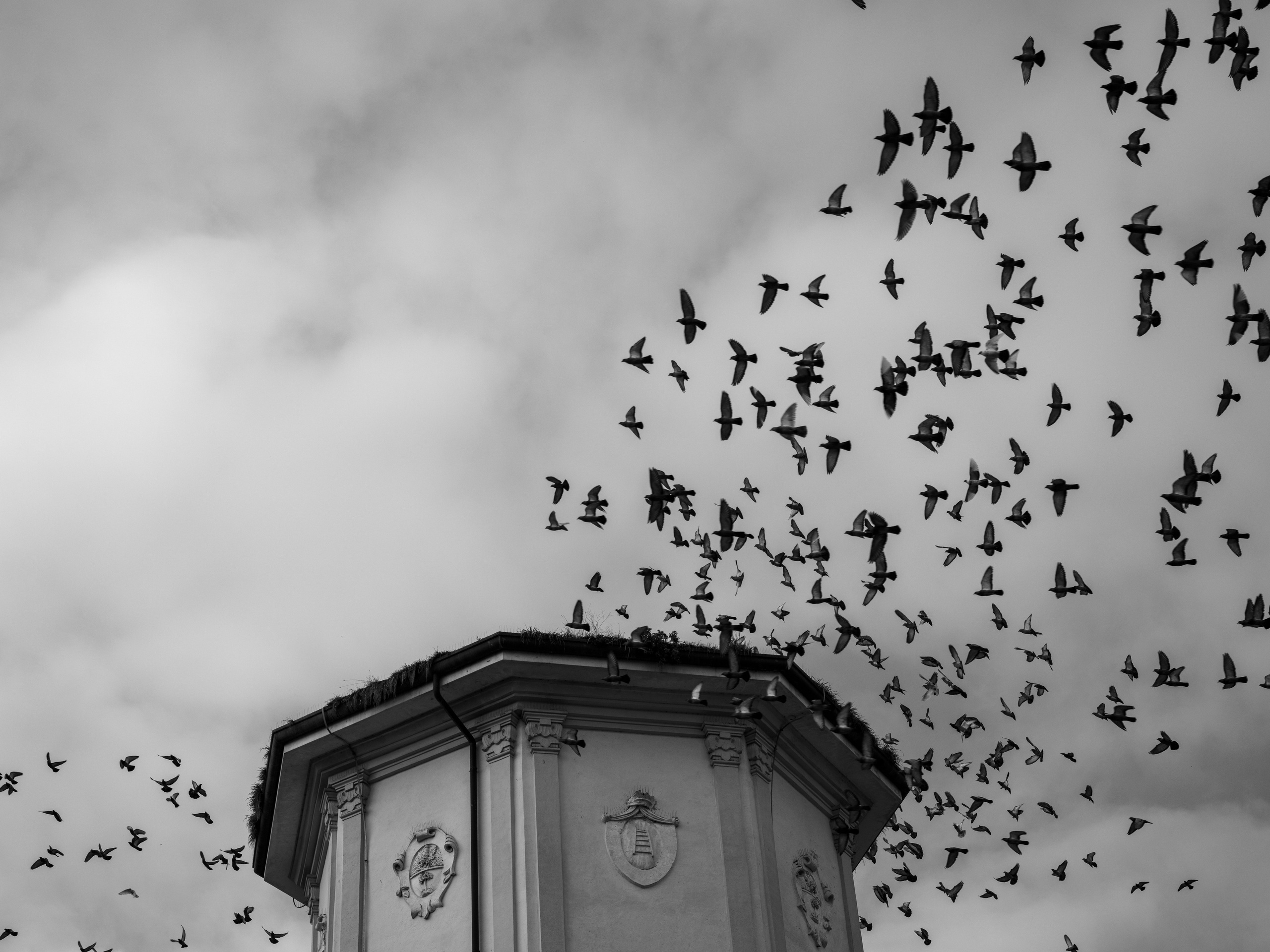 A dramatic flock of birds over historic Verona captured in black and white. Strong lines, contrast and movement create a bold contemporary fine art statement.