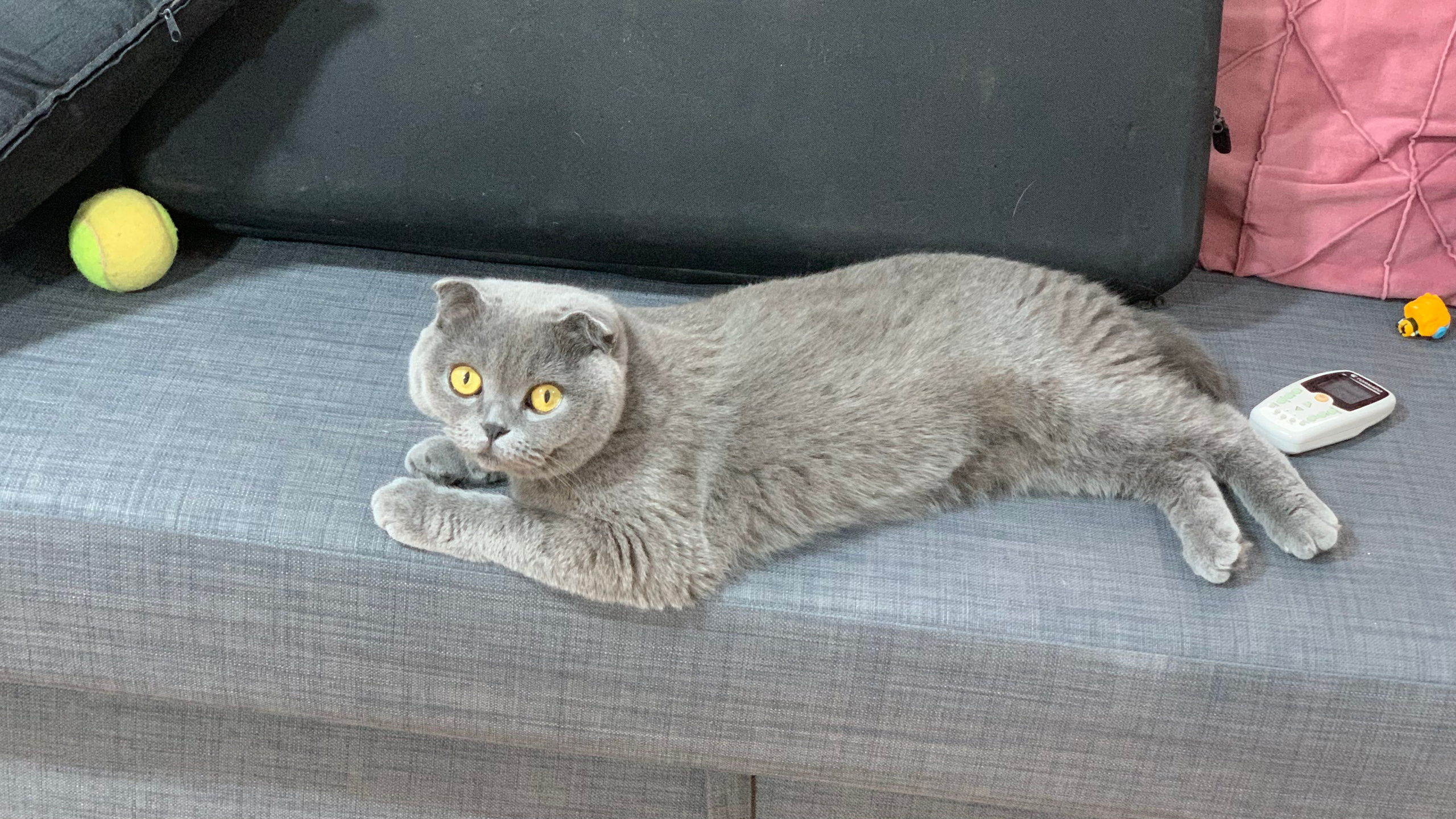 Everything from everything