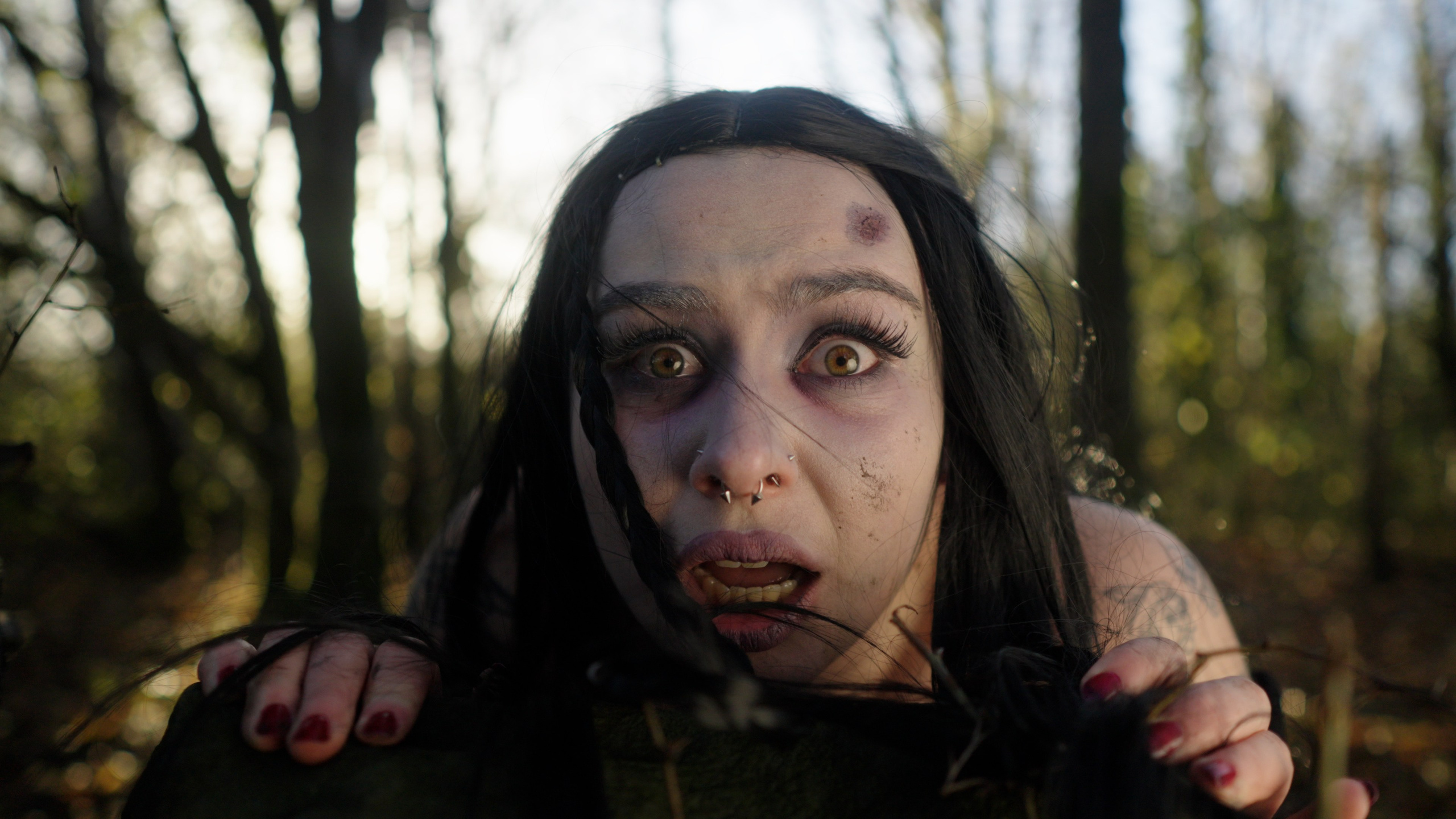 Dead Kitty Photoset. Molfar Visuals