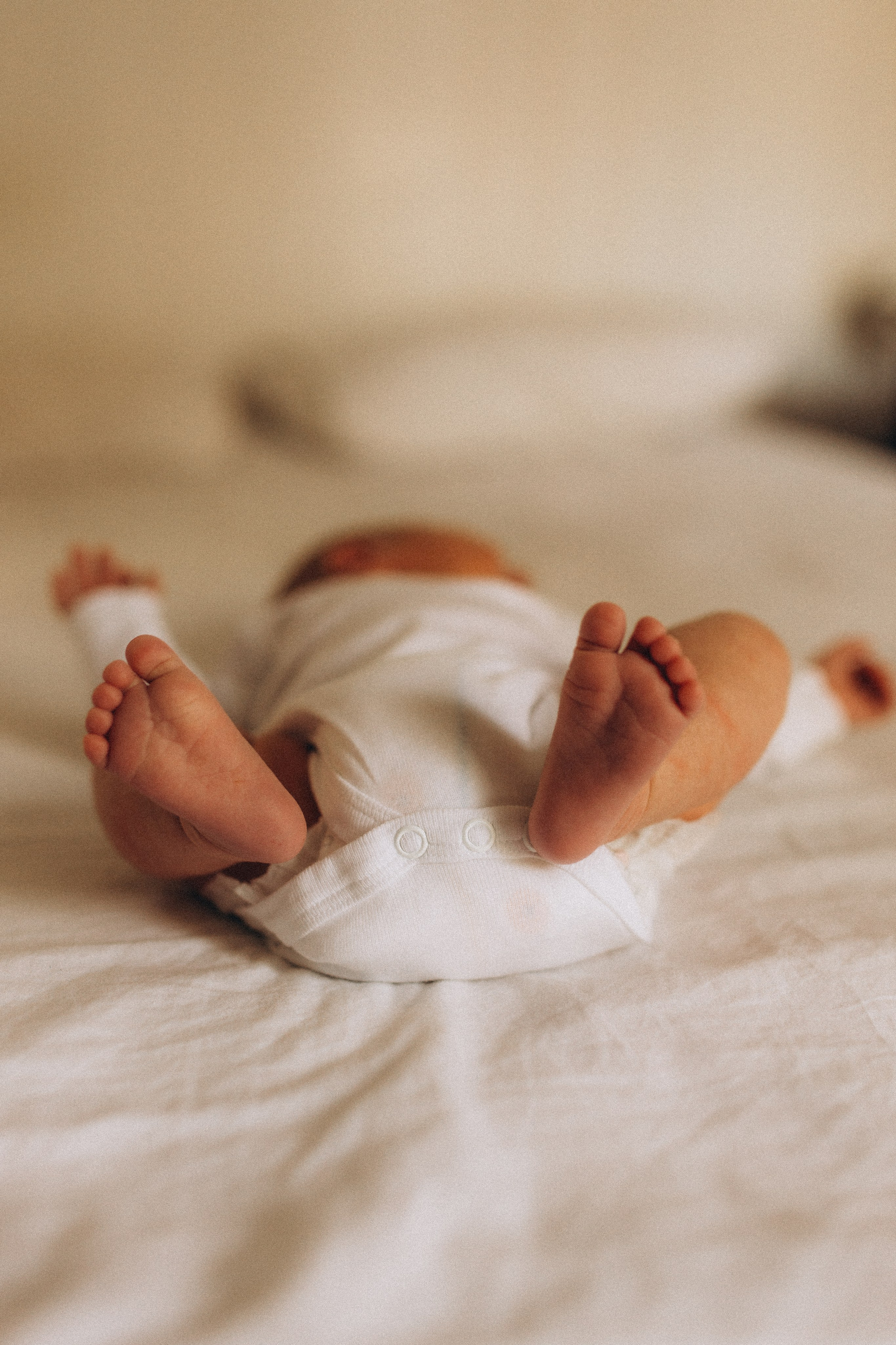 Shayne, Alon, Yanay&Kedem