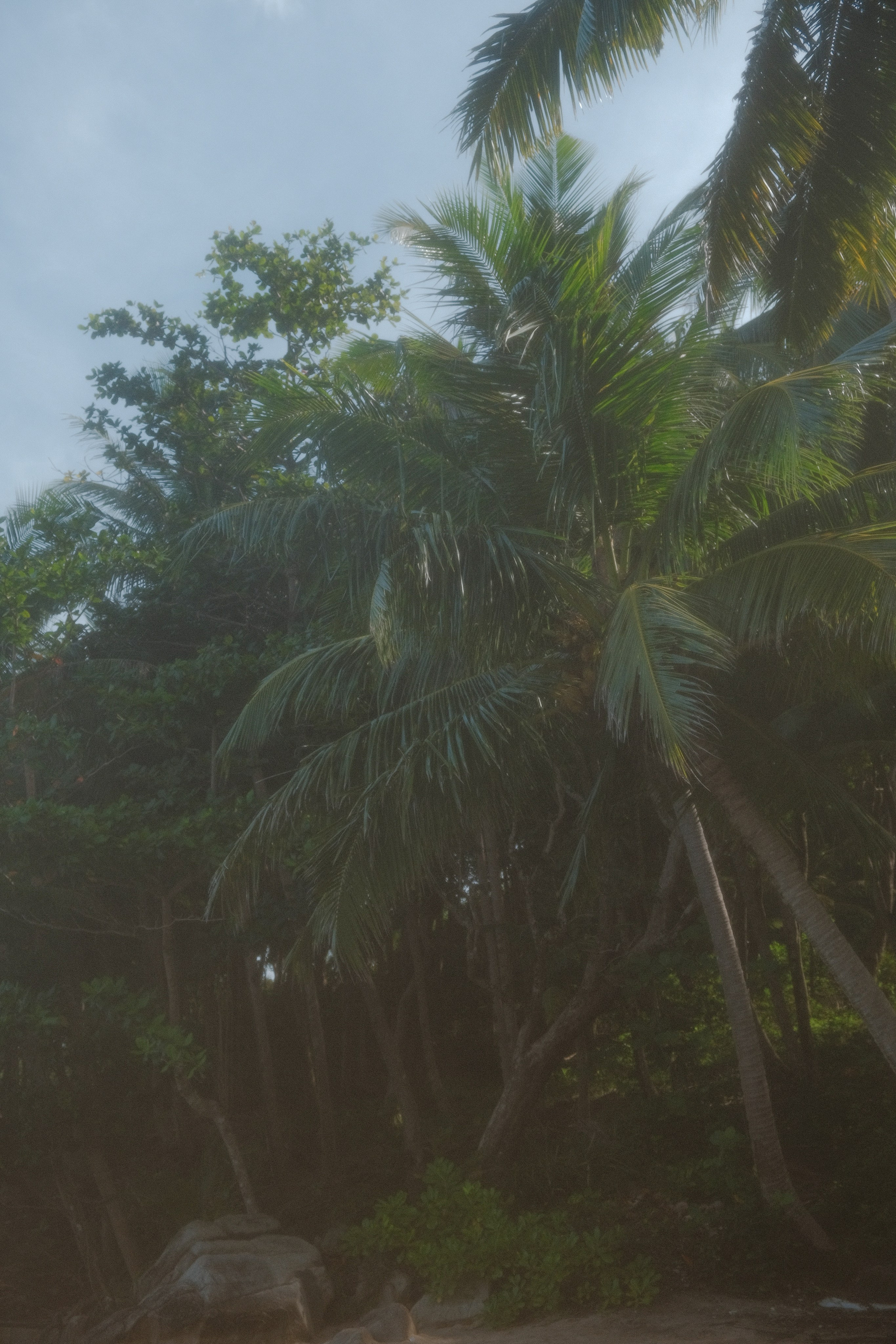 Алиса. Персональный фотограф Пхукет, Красноярск