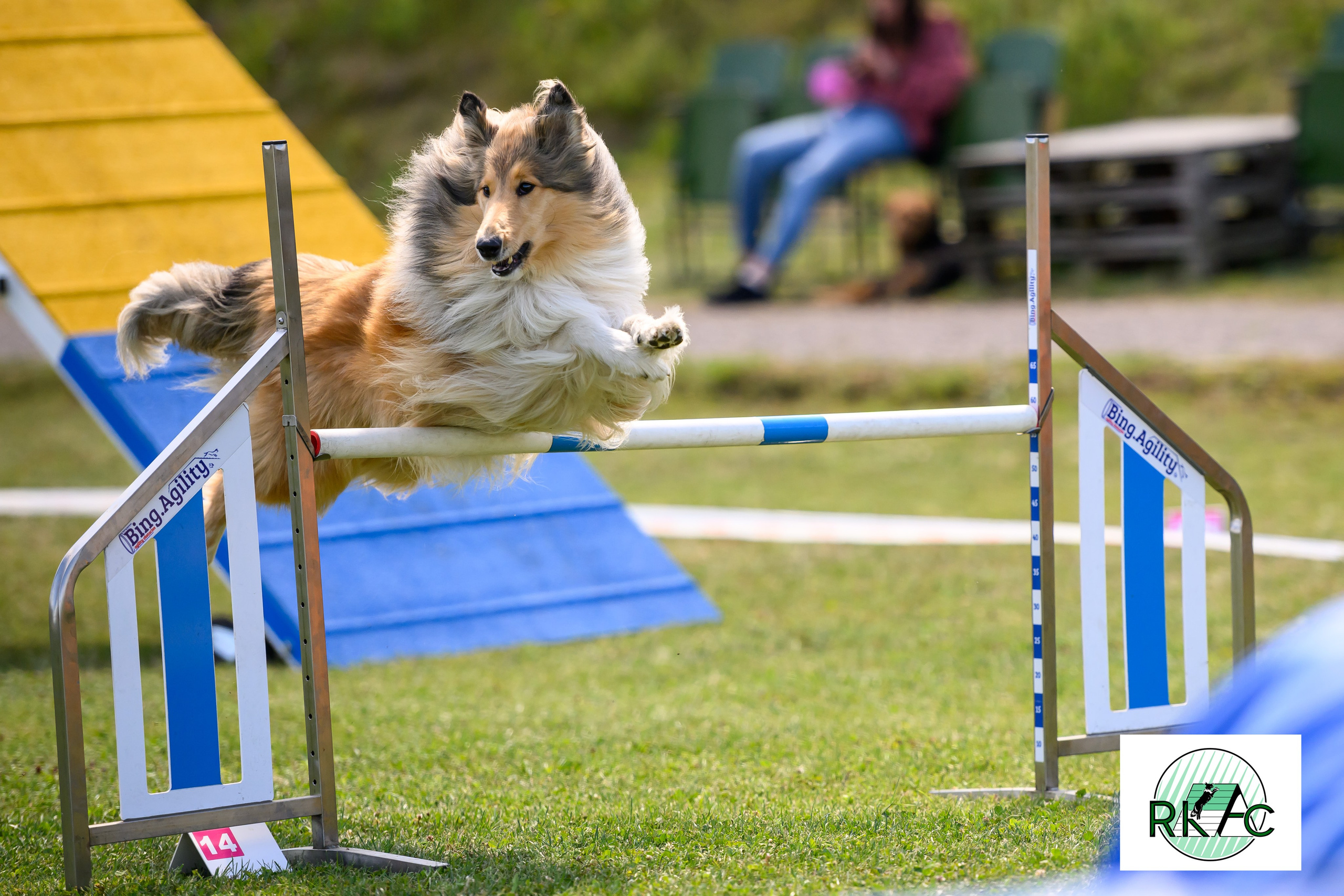 Suņu sacensības veiklībā. Ritvars Pujats Emotion Photographer