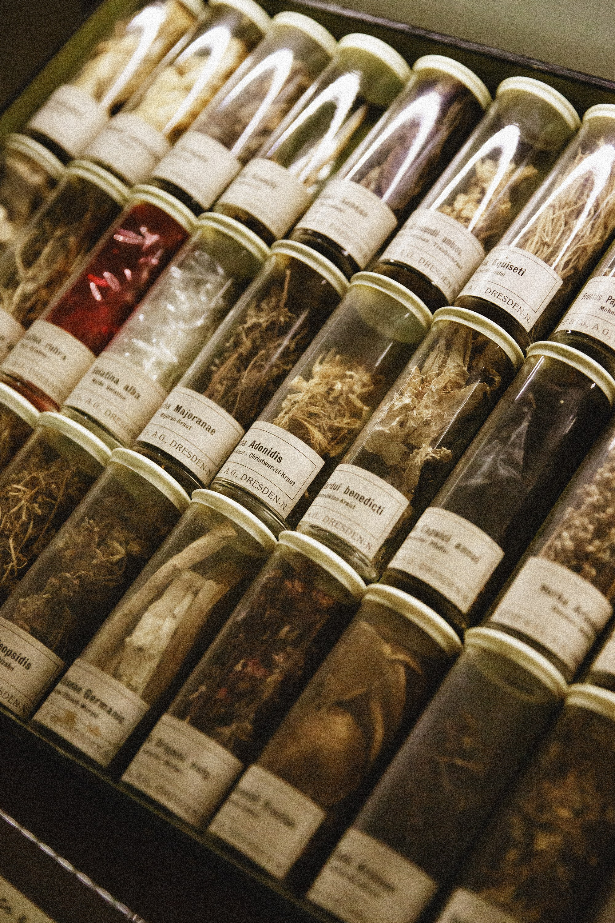 Museum of farmacy in Wroclaw. Kaja | fotograf we Wrocławiu | ludzie i psy