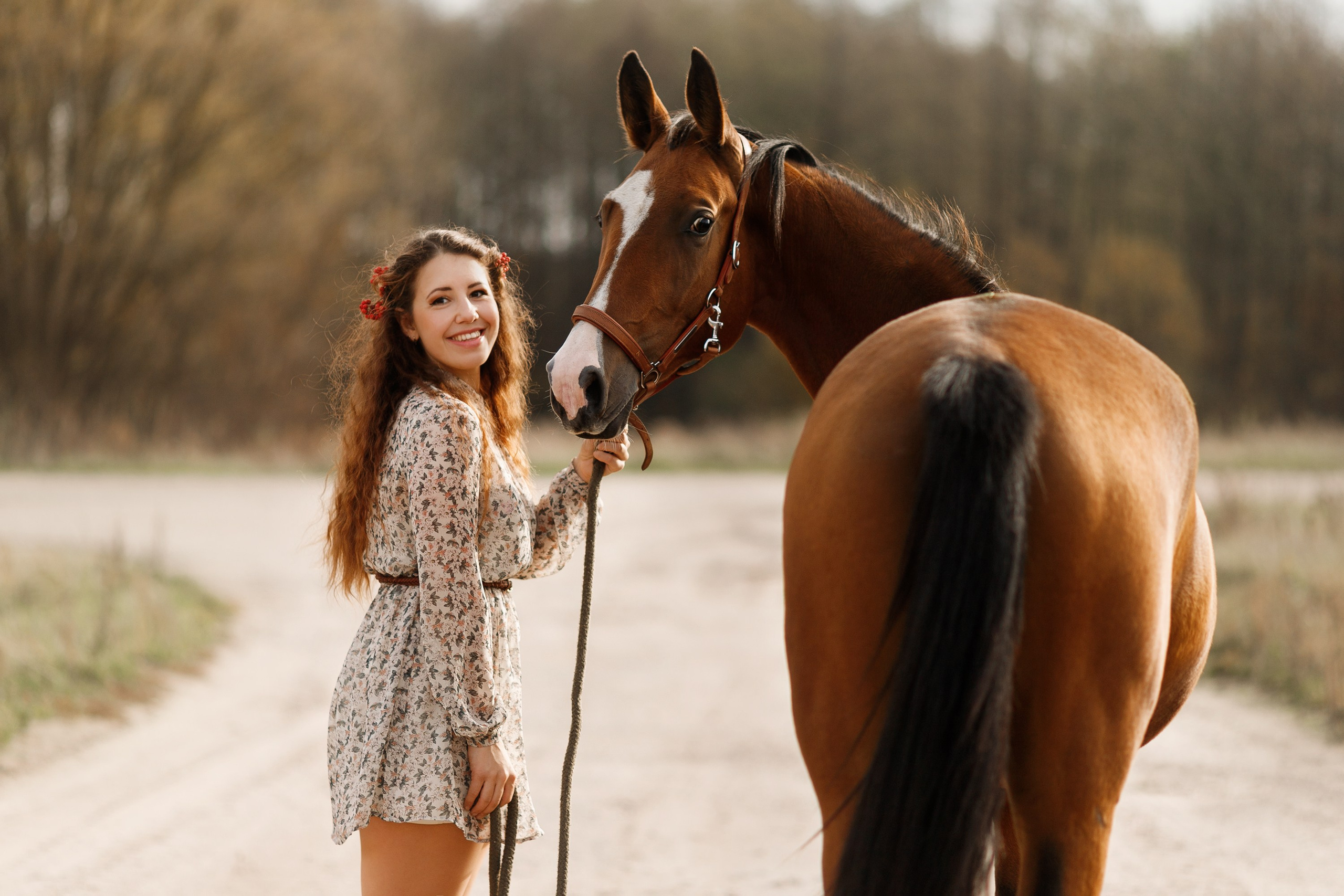 Aibike | autumn. Kaja | fotograf psów we Wrocławiu