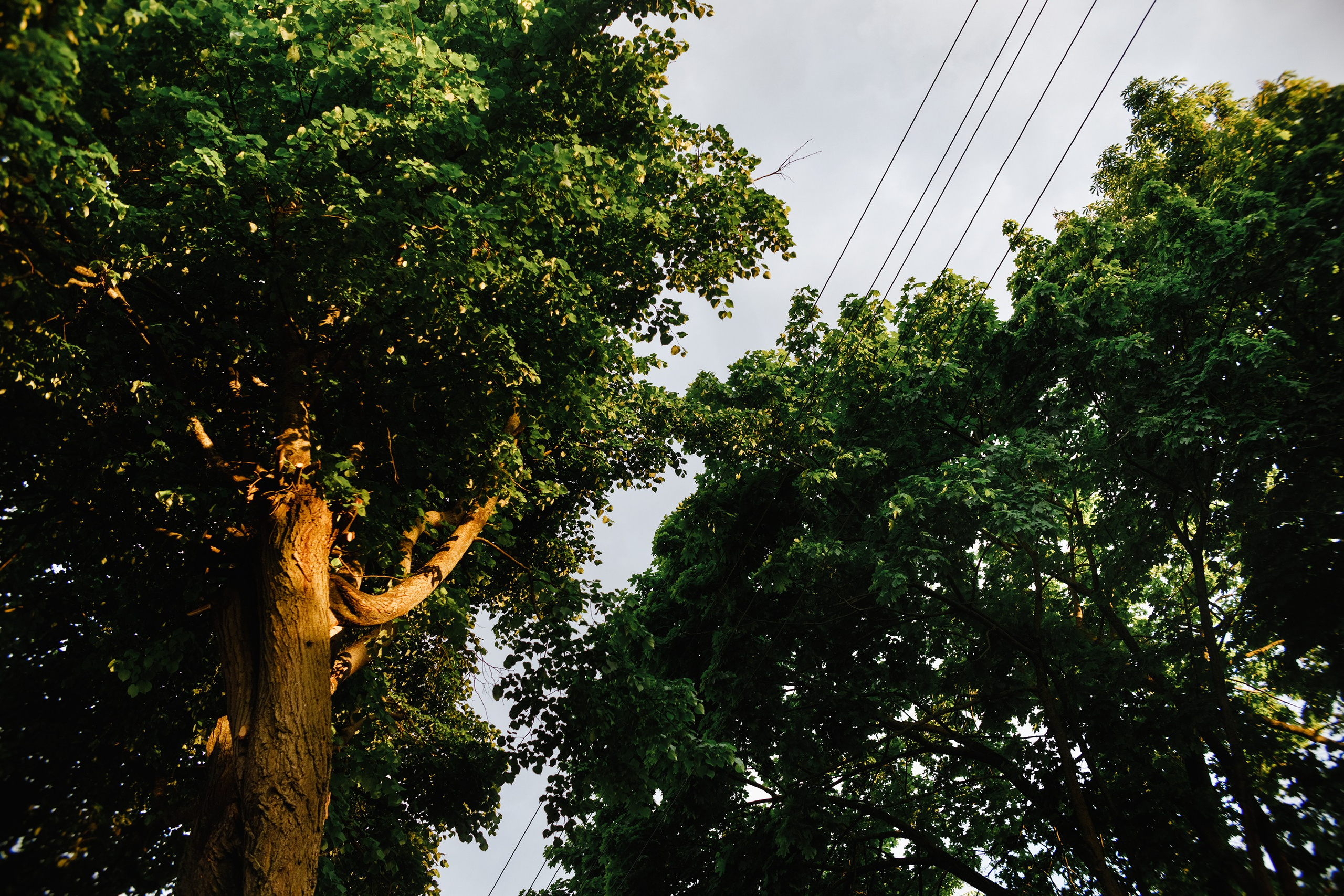 Grodno. Kaja | fotograf we Wrocławiu | ludzie i psy