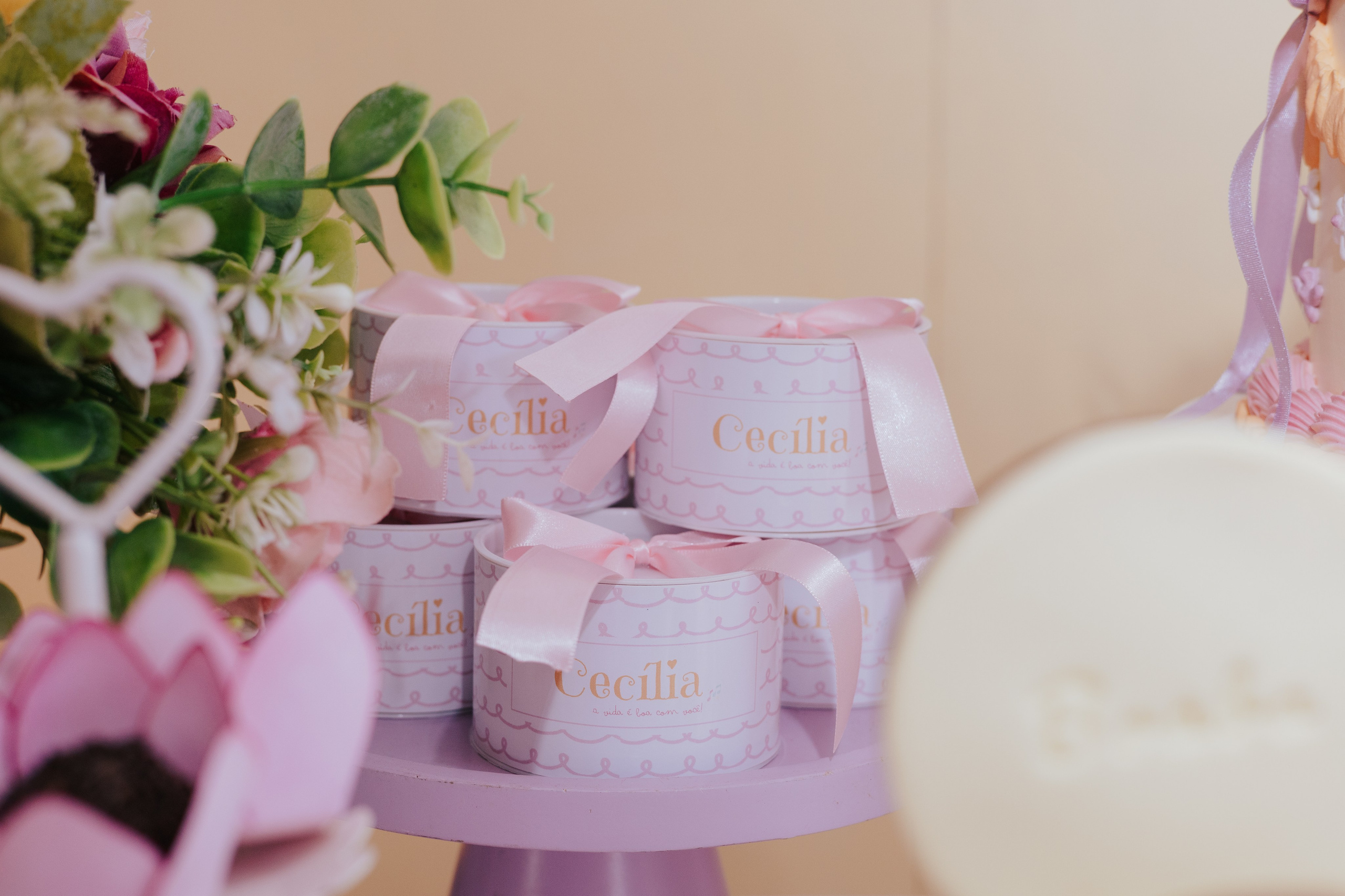 Cecília 2 anos. Fotografia de família e parto