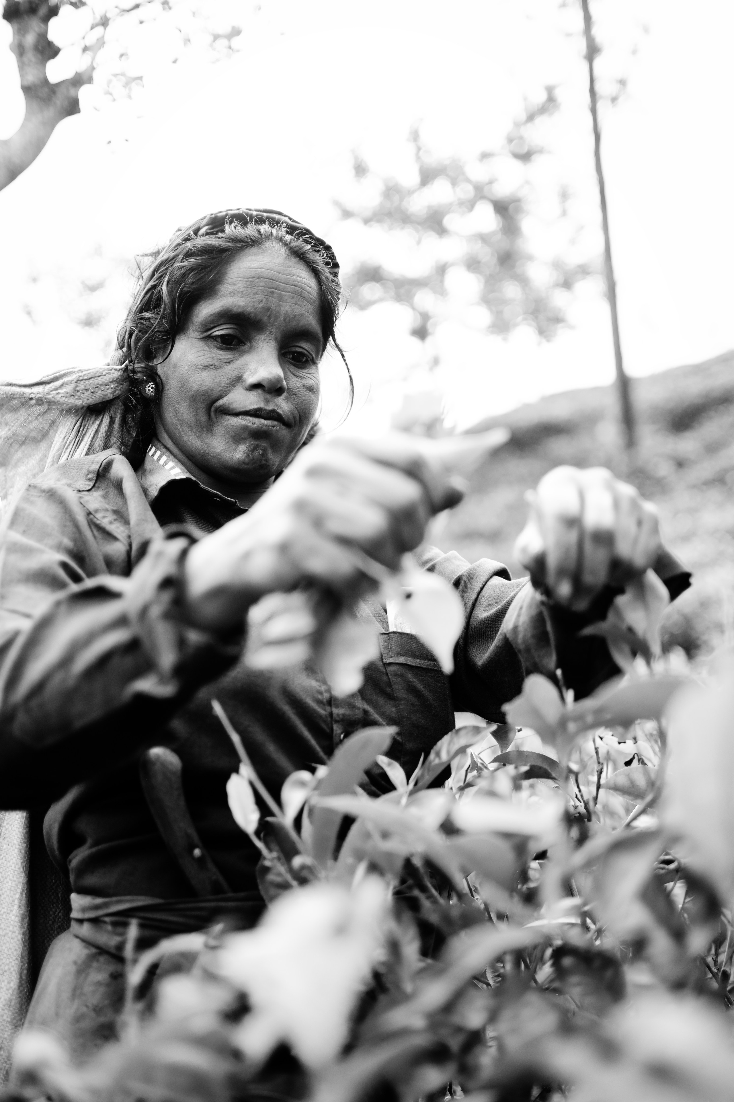 Travel | Sri Lanka | BW