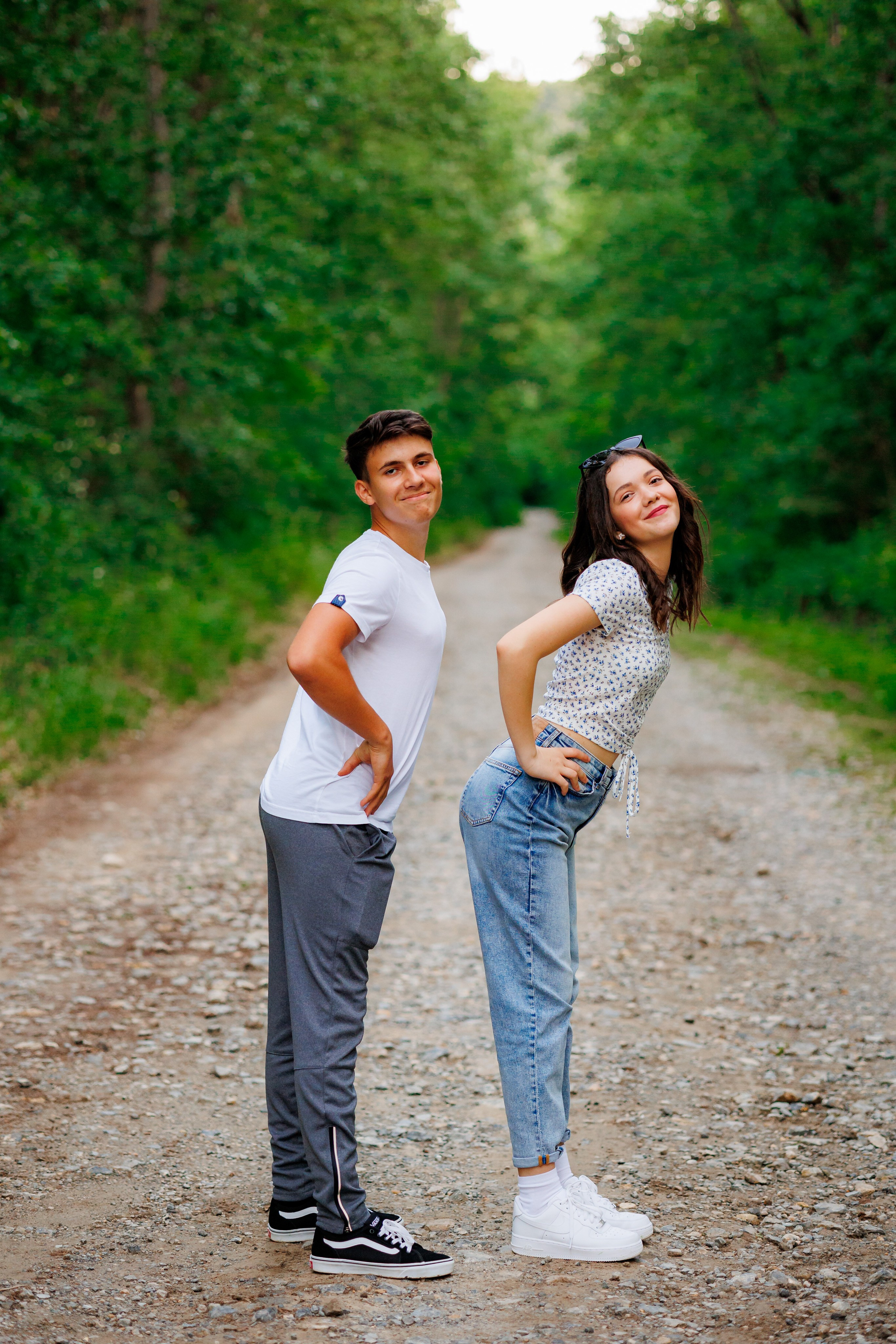 Distracție Gratuit. Trendy Albums