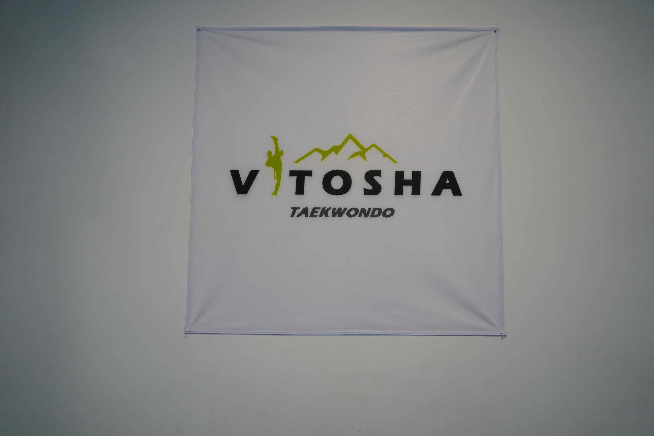 2026-01-10, ТАЕКУОНДО, Изпит за технически степени, ТК Витоша. СПОРТНА ФОТОГРАФИЯ | ПОРТРЕТНА | РЕПОРТАЖНА