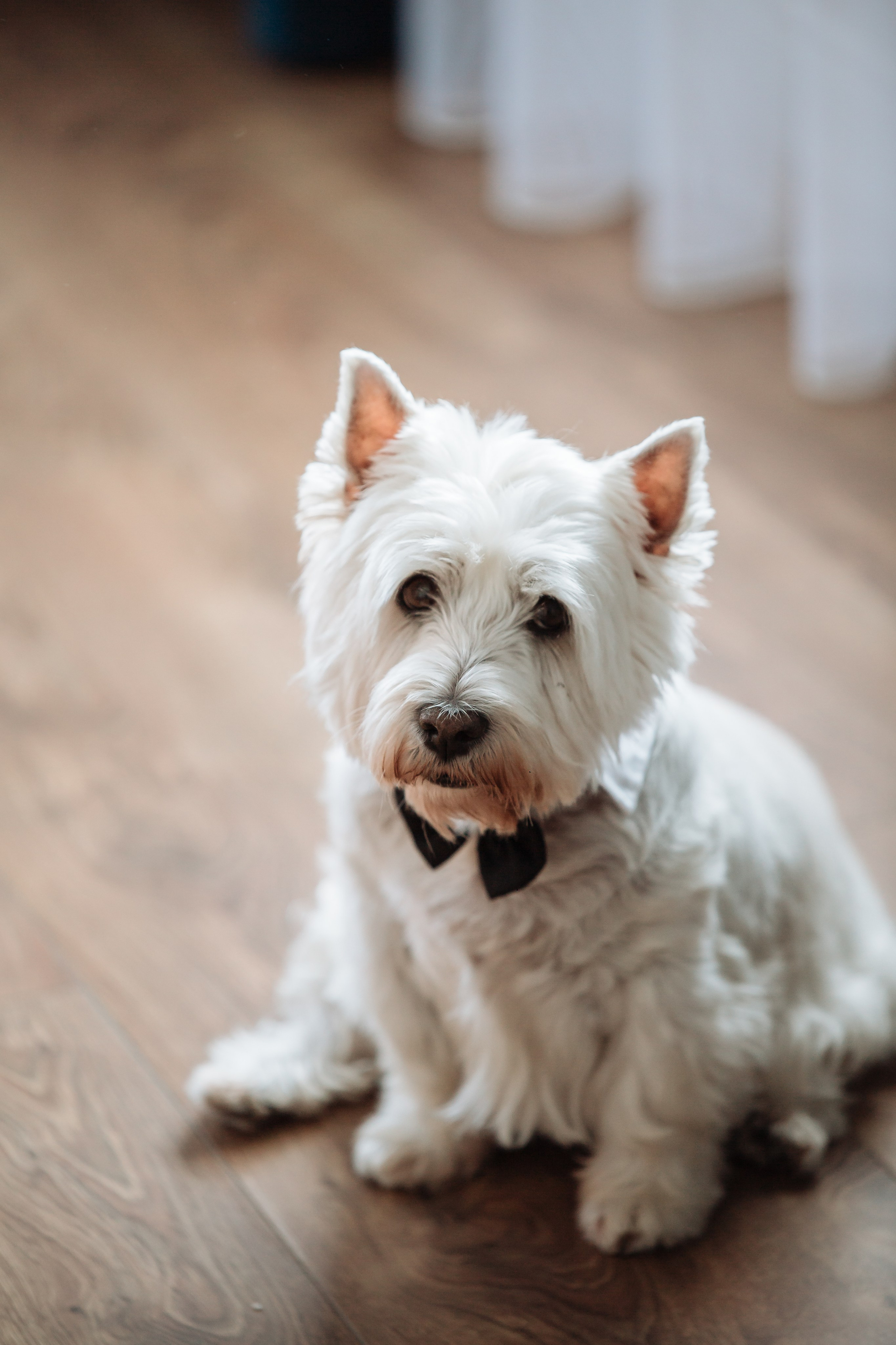 Emilijos krikštynos. Wedding, christening and family photographers in Vilnius, Lithuania