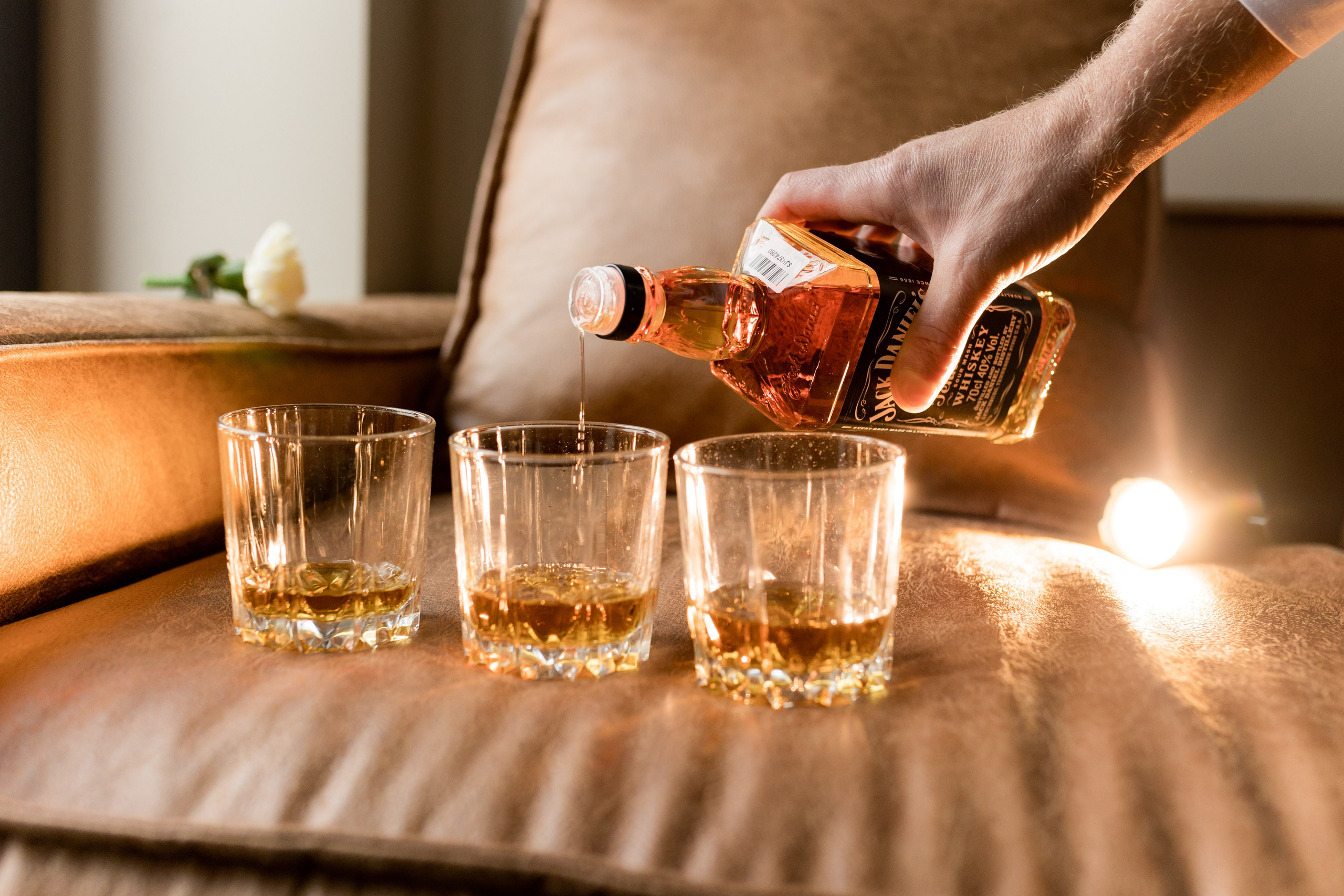 Аліна та Віктор. Ірина Терещук