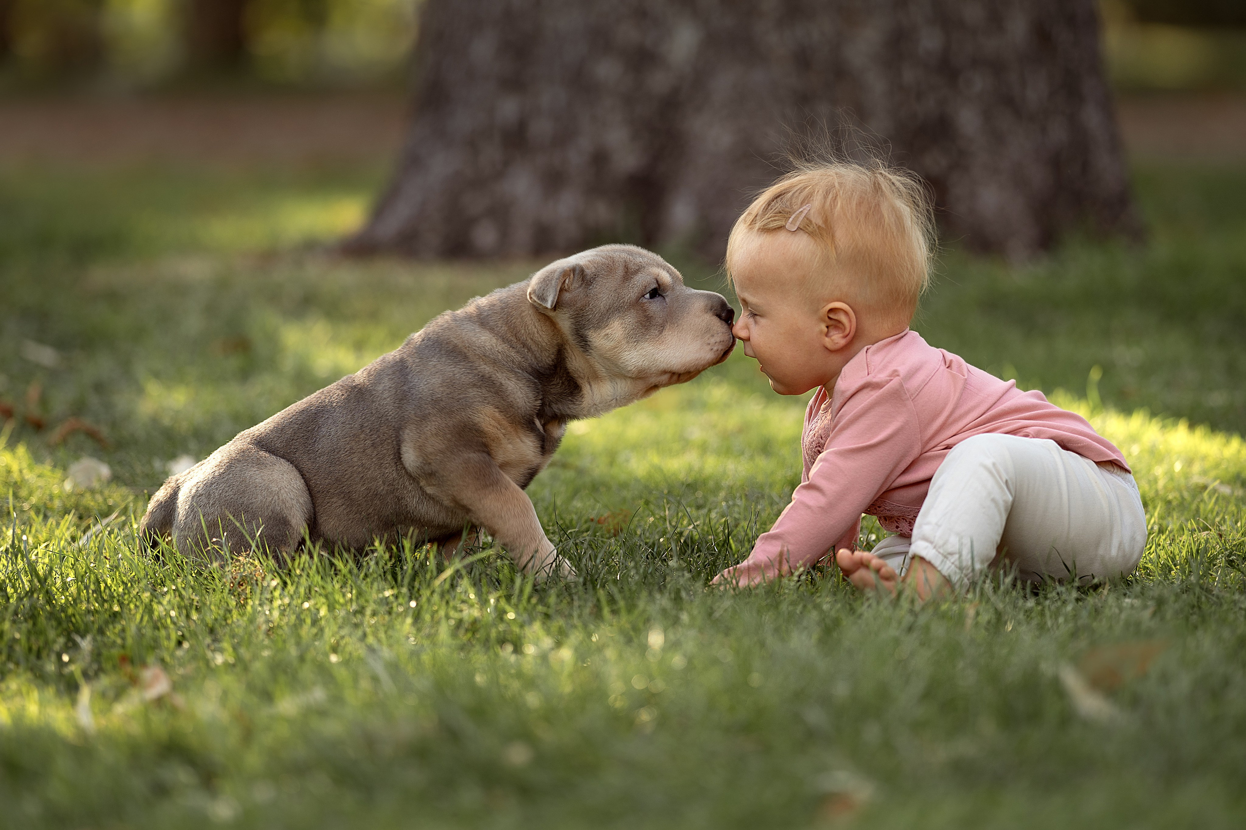 ОТЗЫВЫ. Семейный и детский фотограф в Испании, Мадриде. Елена Лукичева