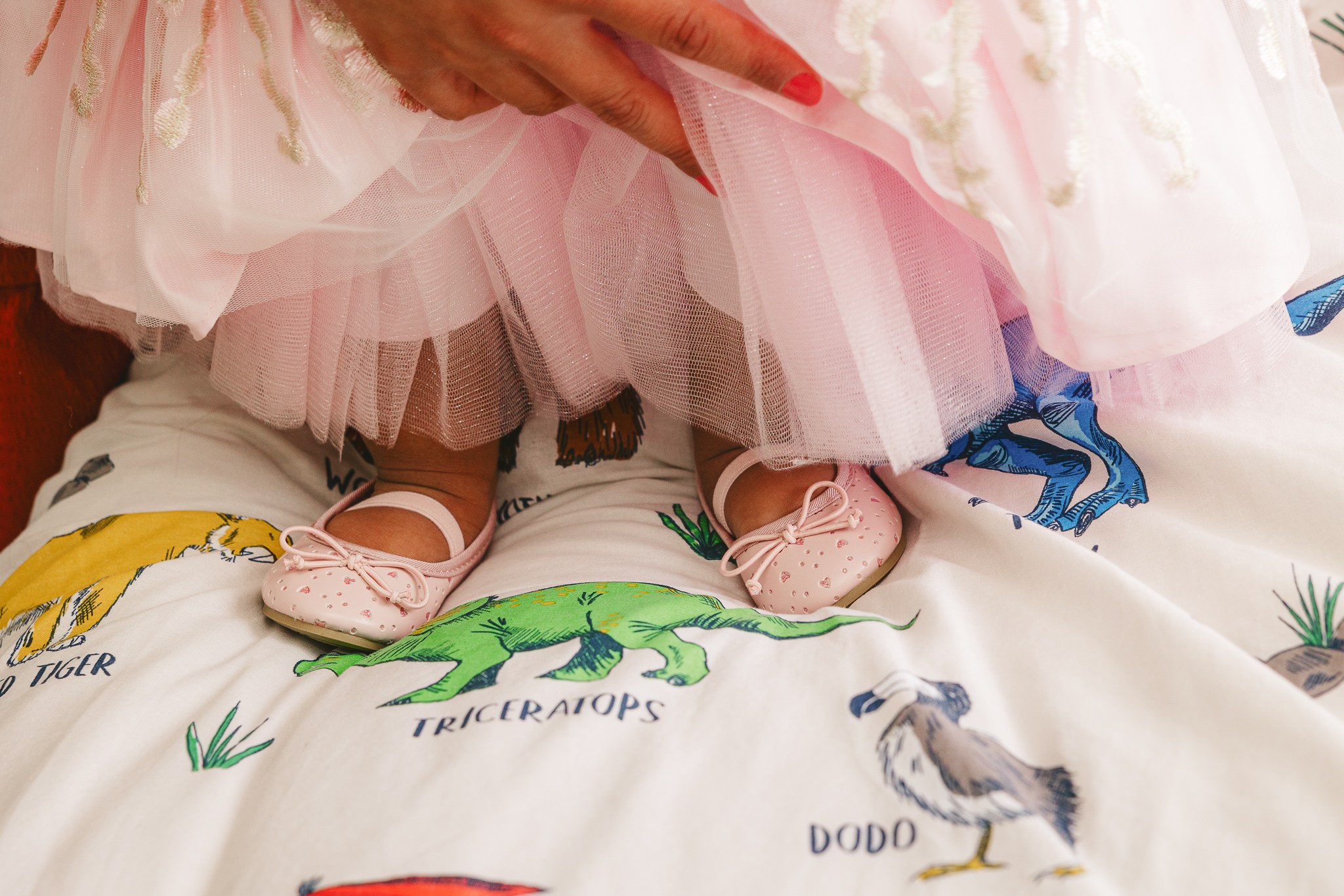 Events & Celebrations. Giandamorgana