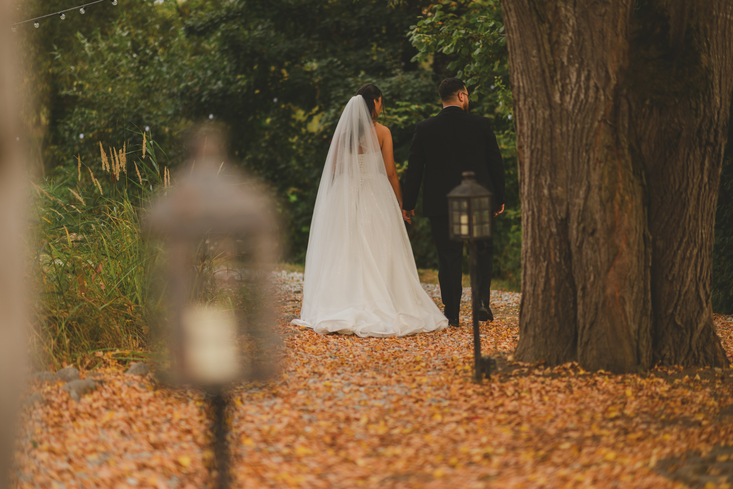 Fotografie de Nuntă în Brasov - Tania & Alexandru. Photography & videography for weddings, events, and businesses in Brașov