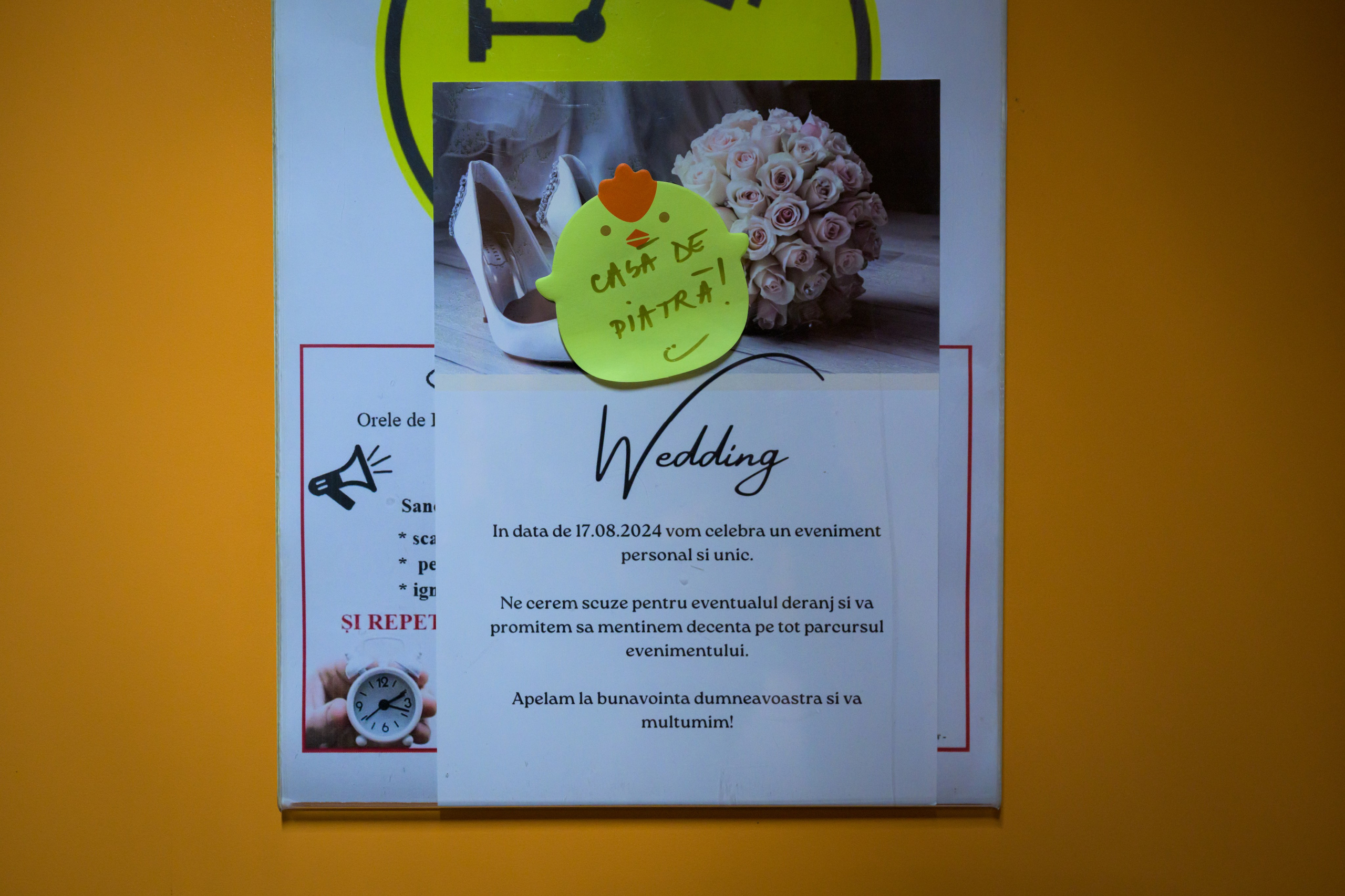 Fotograf pentru nunți, evenimente și business în Brașov