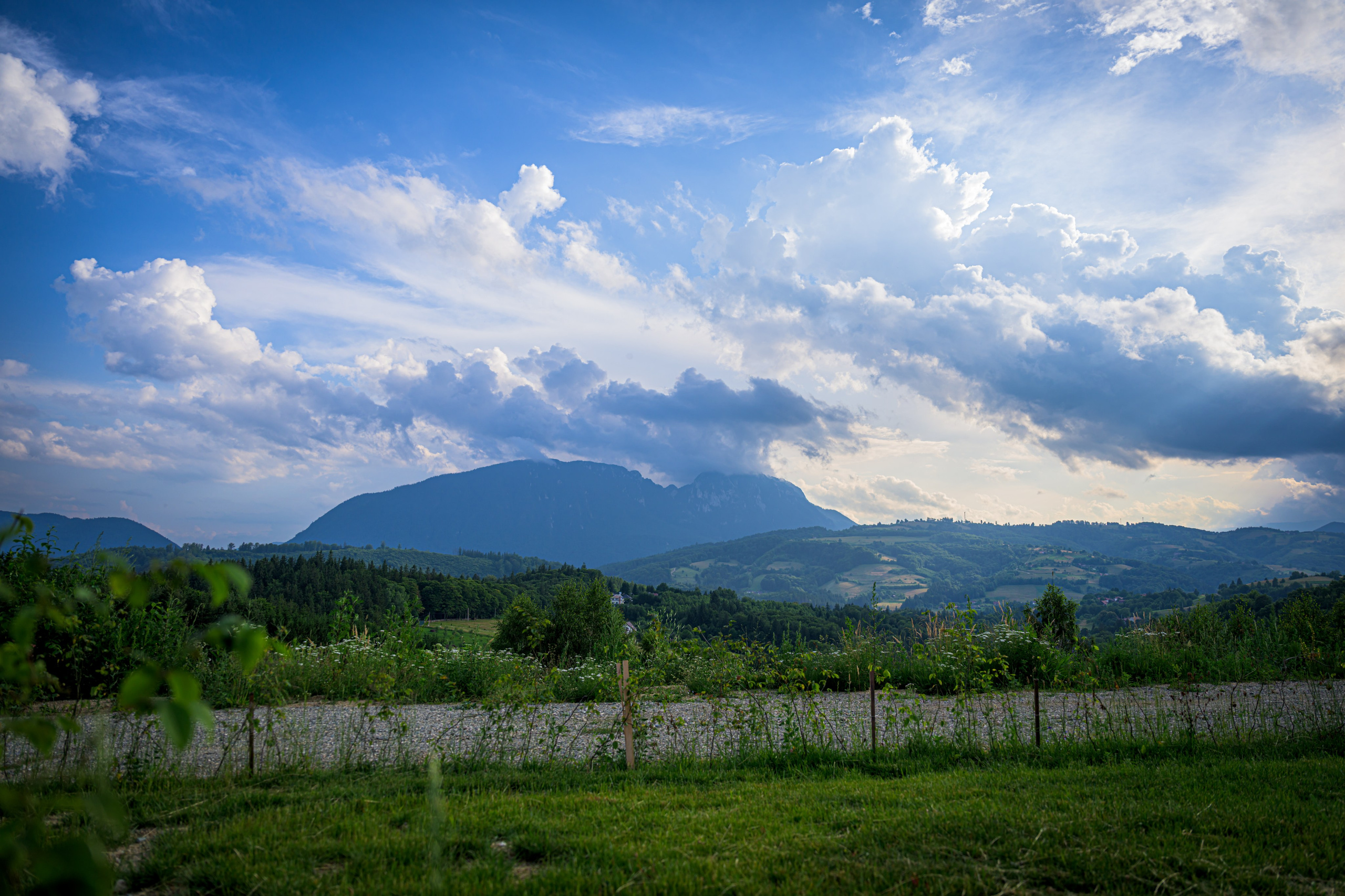Sedință Foto Profesională Imobiliare - Cabana Poiana Marului