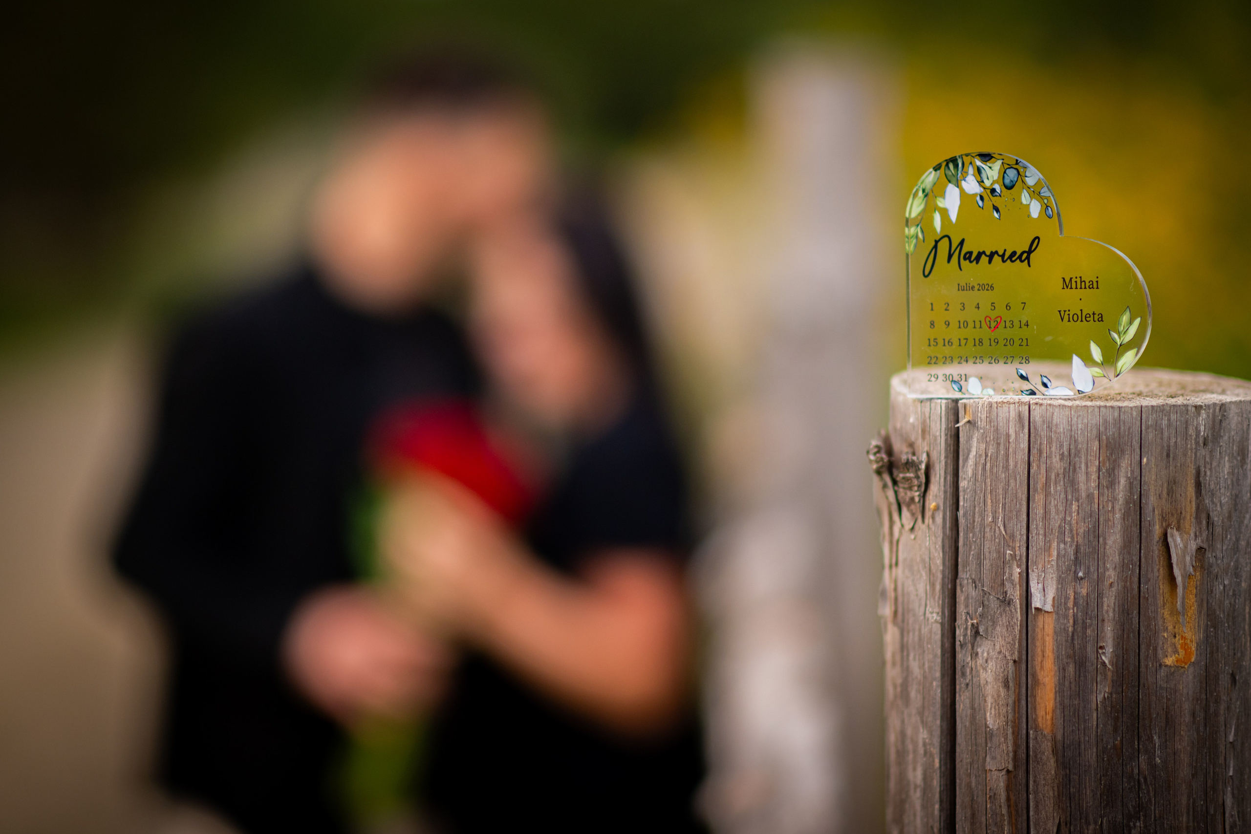 Sedință Foto Profesională Save The Date V & M