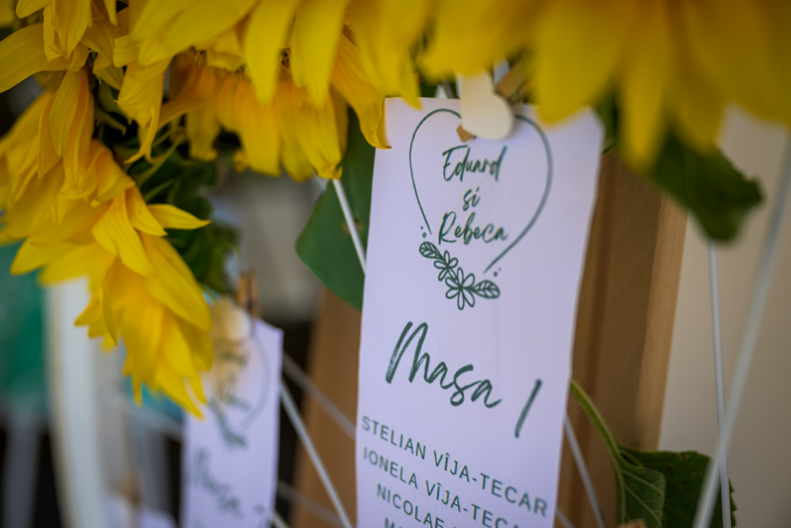Fotograf pentru nunți, evenimente și business în Brașov