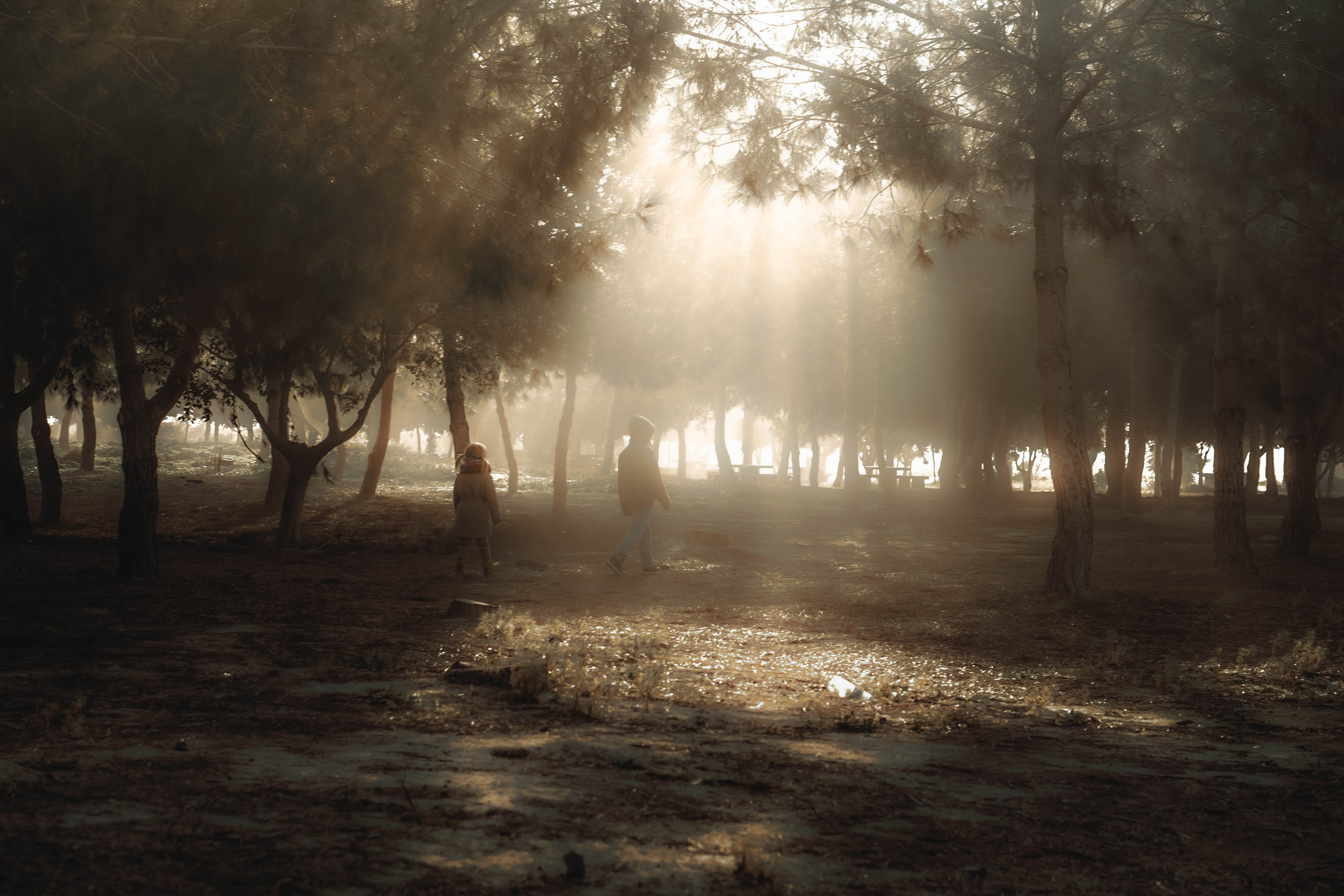 Magic moments. Alba del Norte Studio