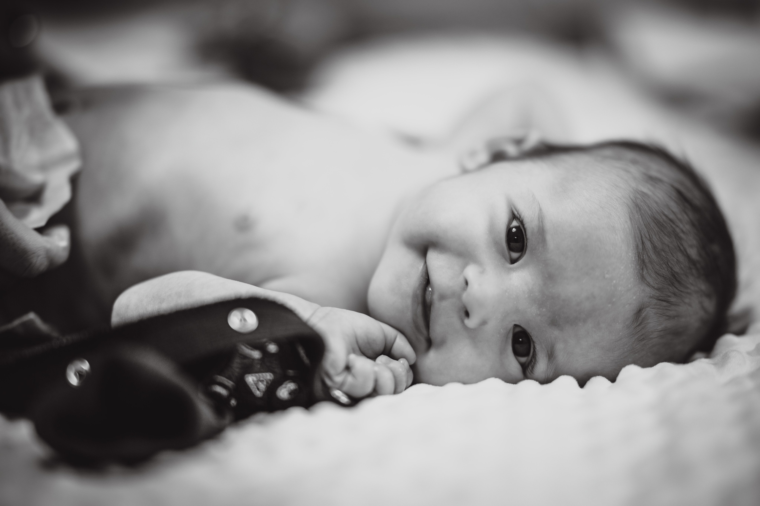 Selim. The Catalins Events — Wedding Photography & Videography