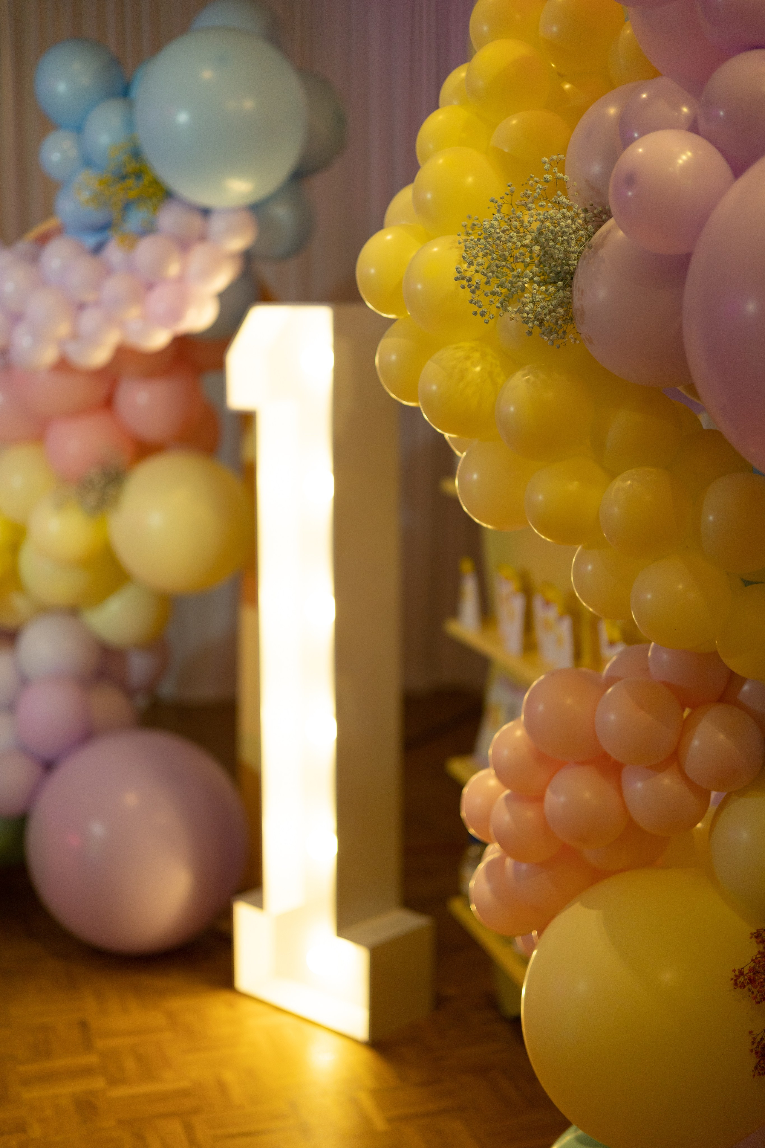 1 st Birthday. Portrait and Family Photographer in Netherlands