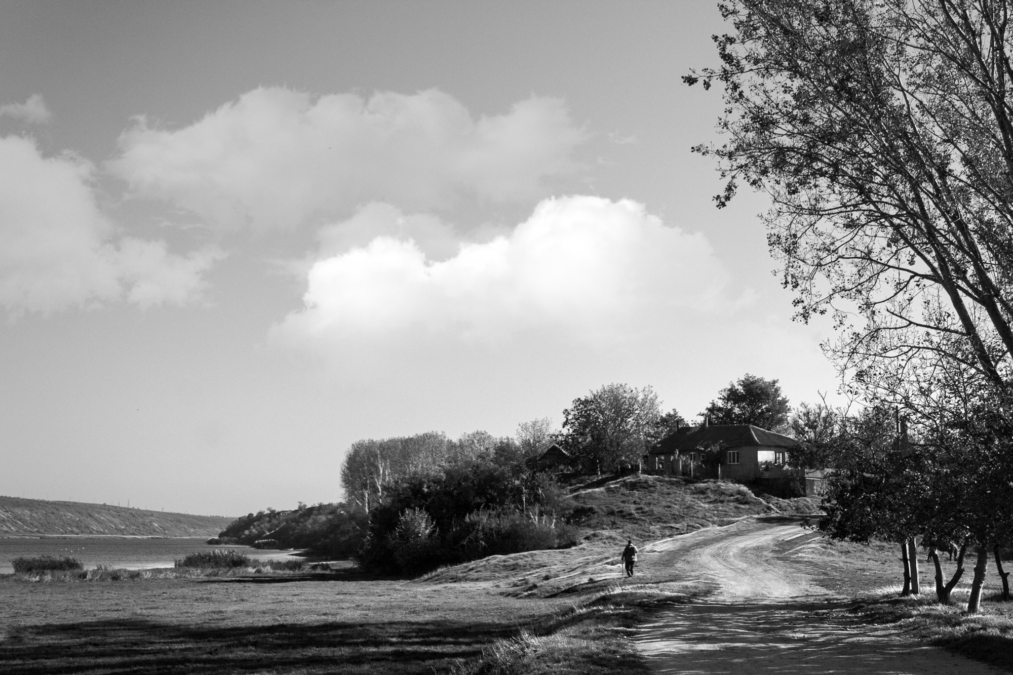 Other works. Portrait and still life photographer. Designer, photographer, and illustrator