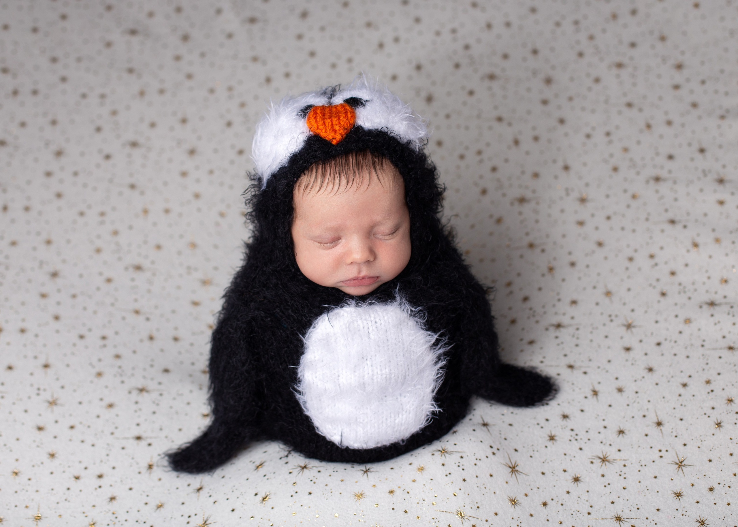 Каталог 12 Newborn. Катерина Шустерман — фотограф Newborn, семейный в Израиле