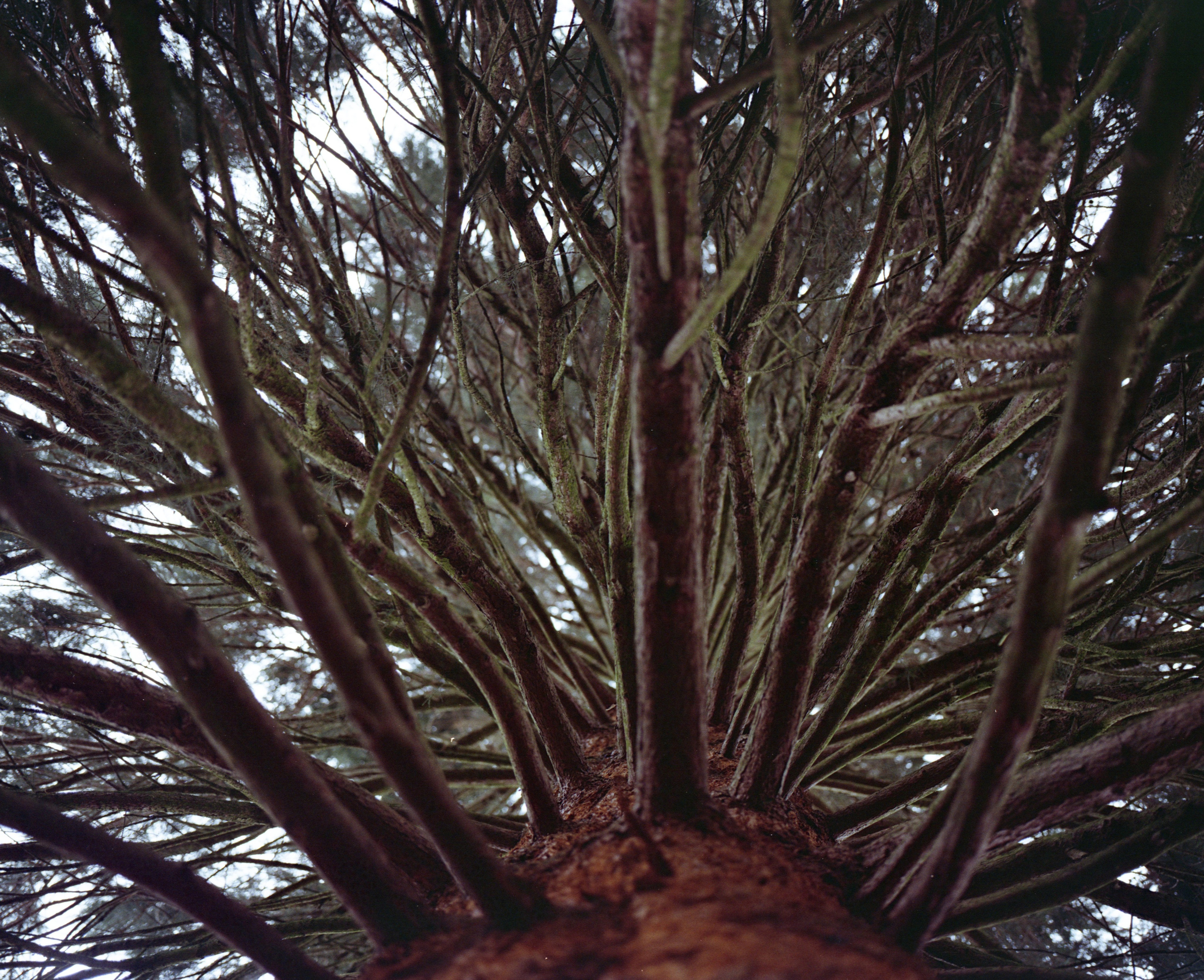 Still Home. Professional Photographer, Videographer in London Dilyana Tankova