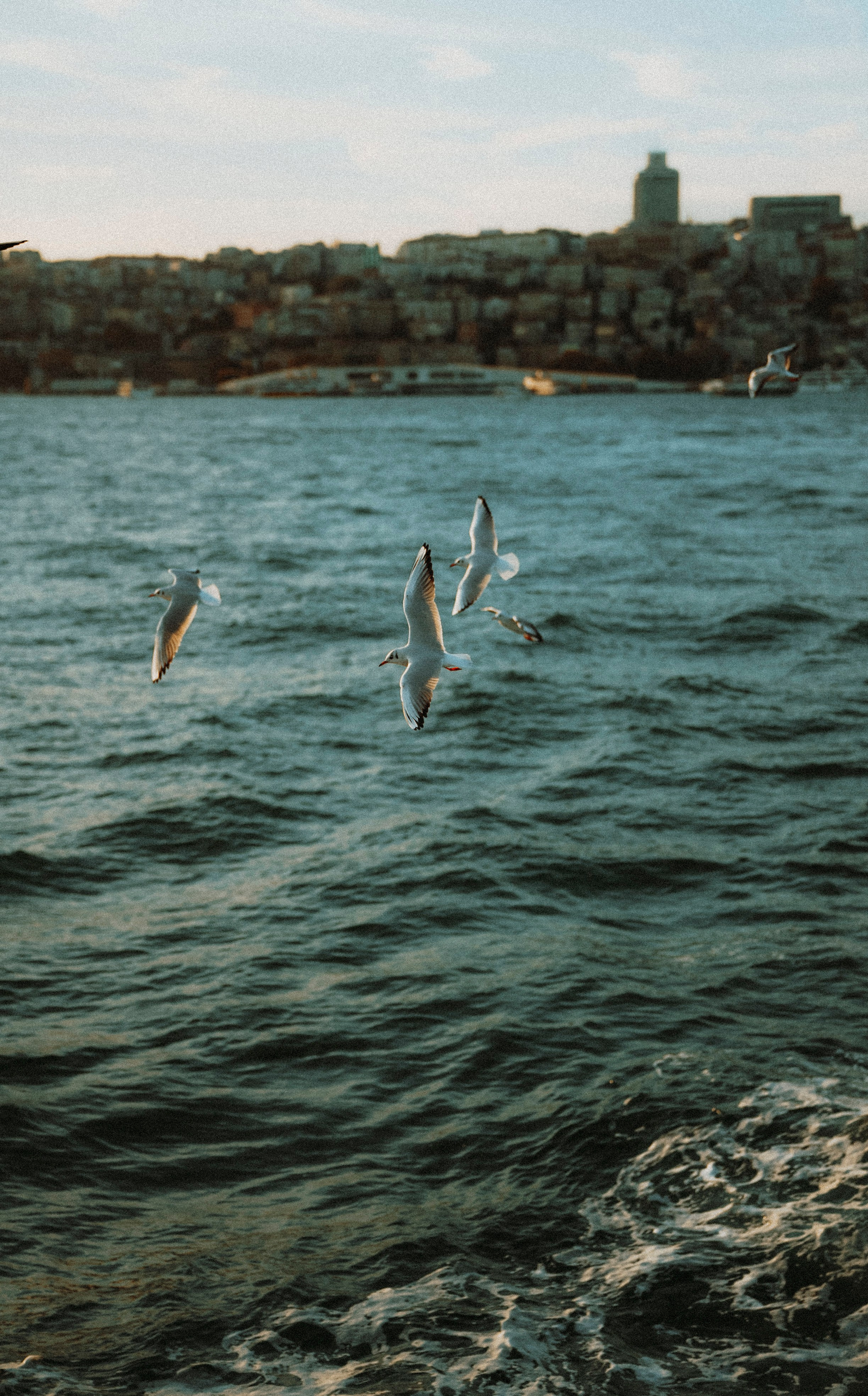 СТАМБУЛ. Стрит-фотография, полная абсурда, идиотизма и красоты