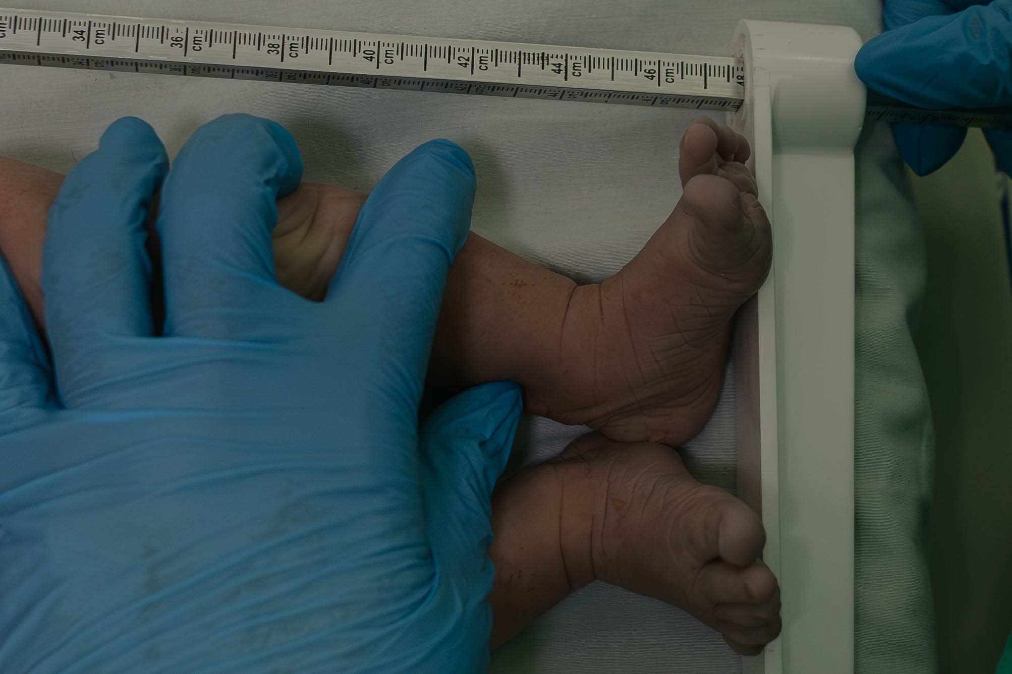 A Chegada de Maria Lis. Amanda Paraizo | Fotógrafa de Parto, Gestante e Família na Grande Vitória — ES