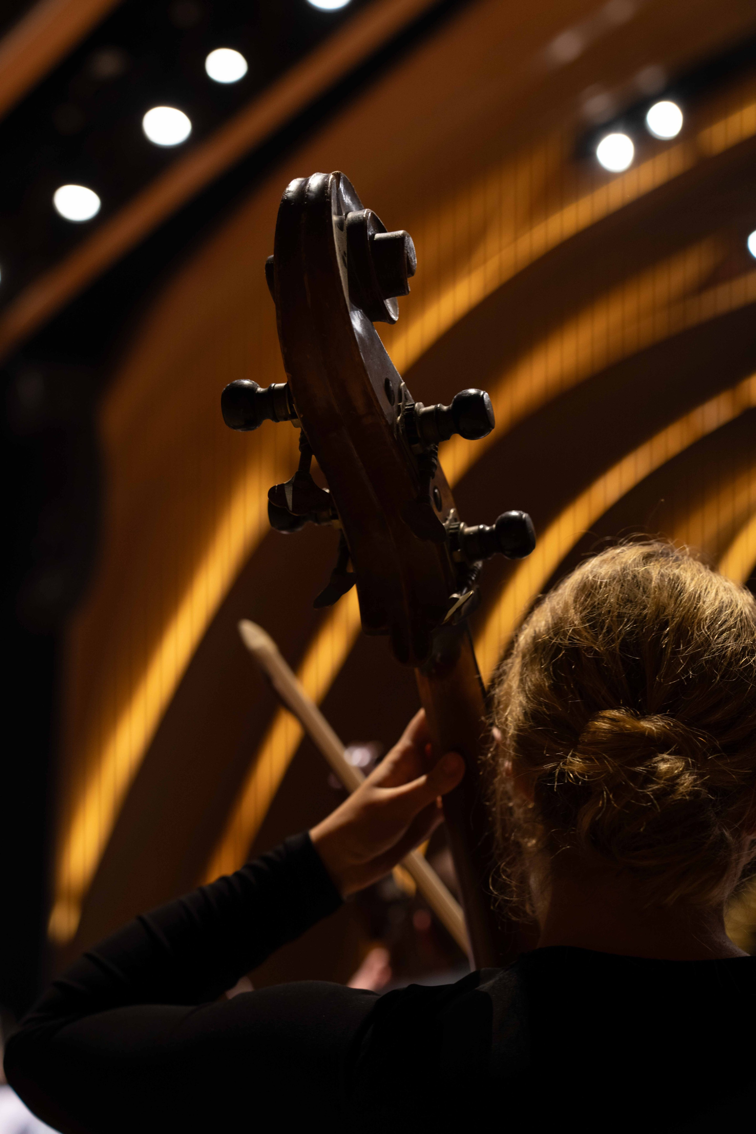 The Tchaikovsky Academic Grand Symphony Orchestra in Baku. Wedding&Event photographer Ismail Rzayev in Baku